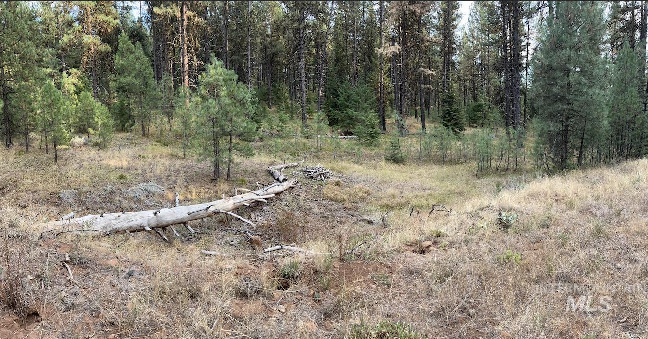 Lot 26 Meadow Dr Property Photo 18