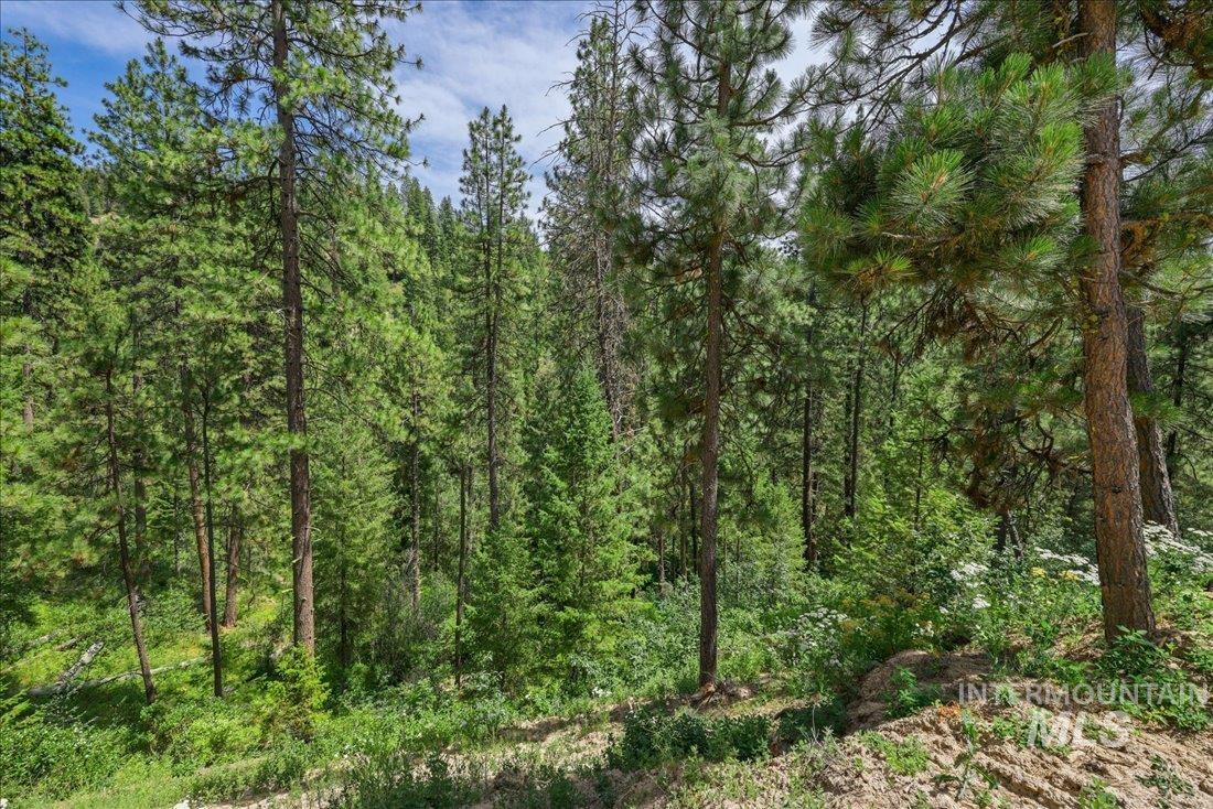 5 Todd Circle Property Photo 6