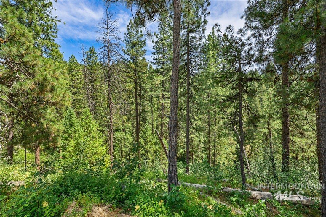 5 Todd Circle Property Photo 14