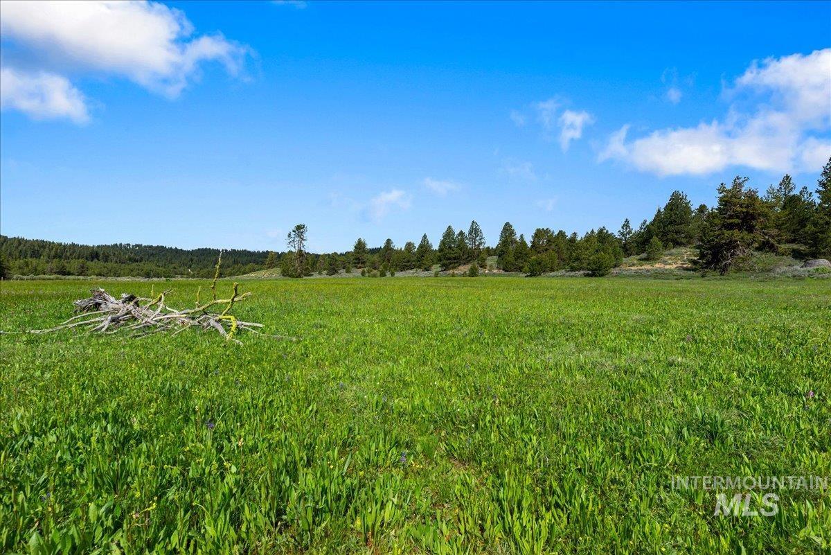 Tbd Pointes Road Property Photo 16