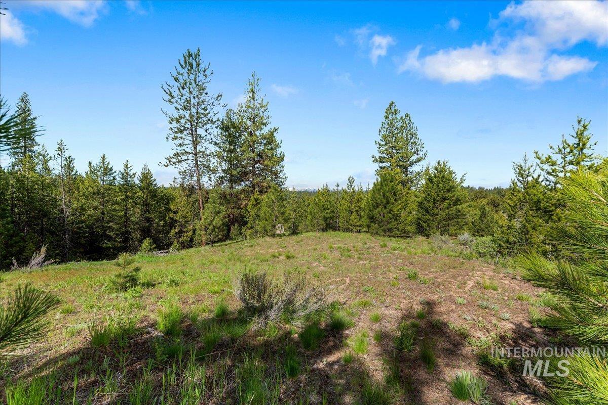 Tbd Pointes Road Property Photo 21