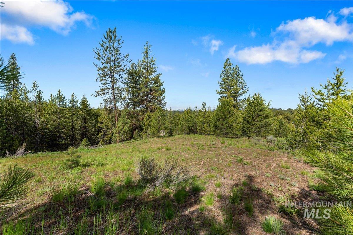 Tbd Pointes Road Property Photo 27