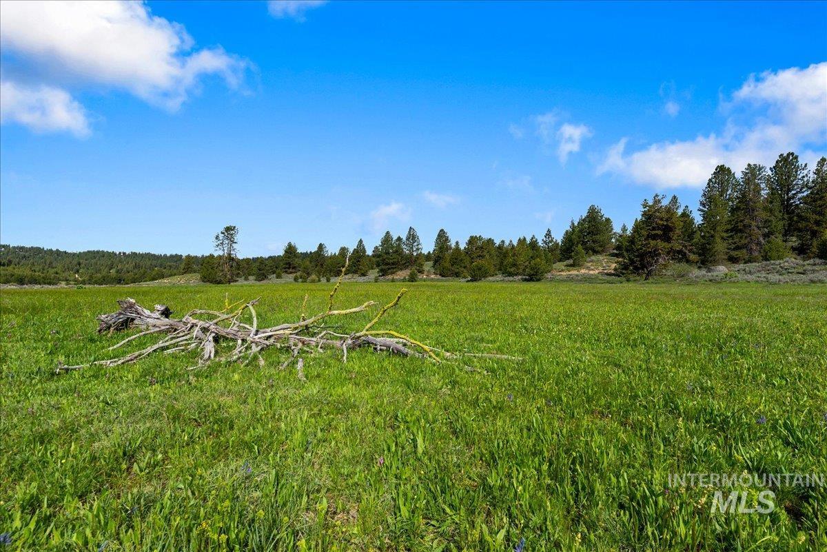 Tbd Pointes Road Property Photo 38