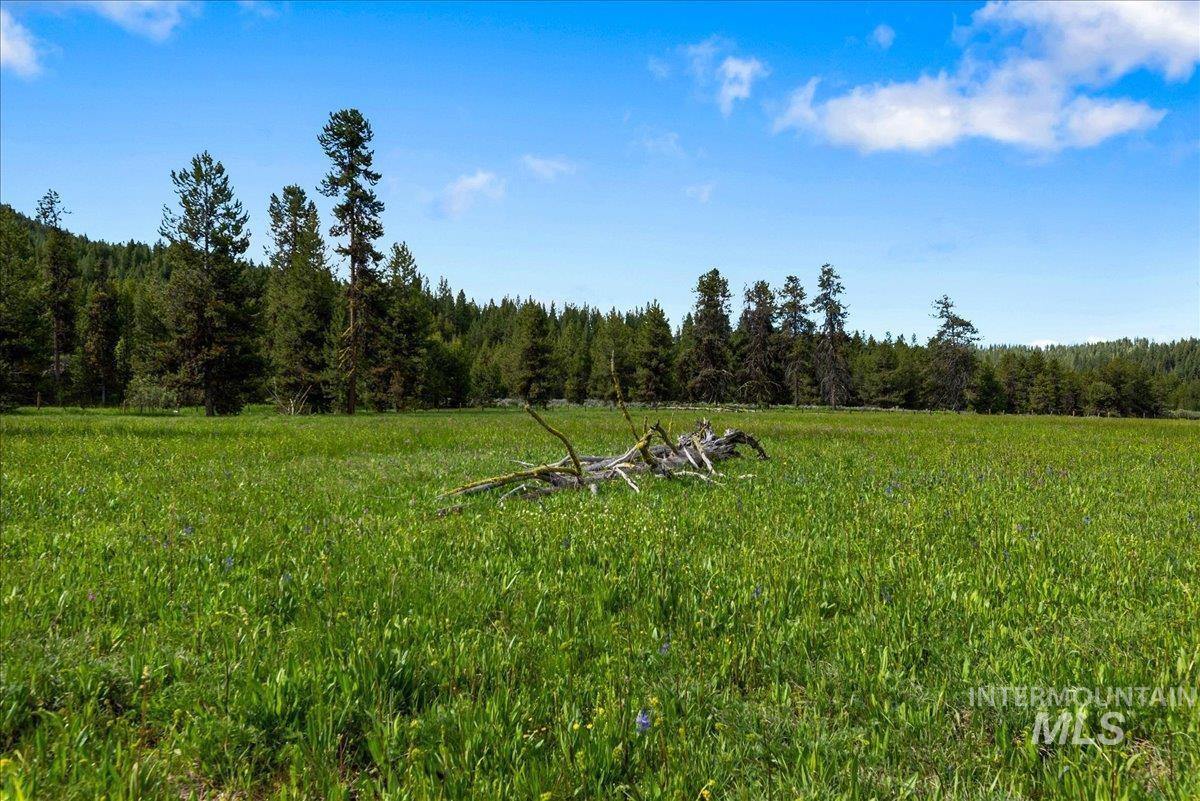 Tbd Pointes Road Property Photo 39