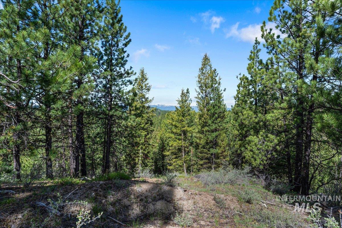 Tbd Pointes Road Property Photo 44