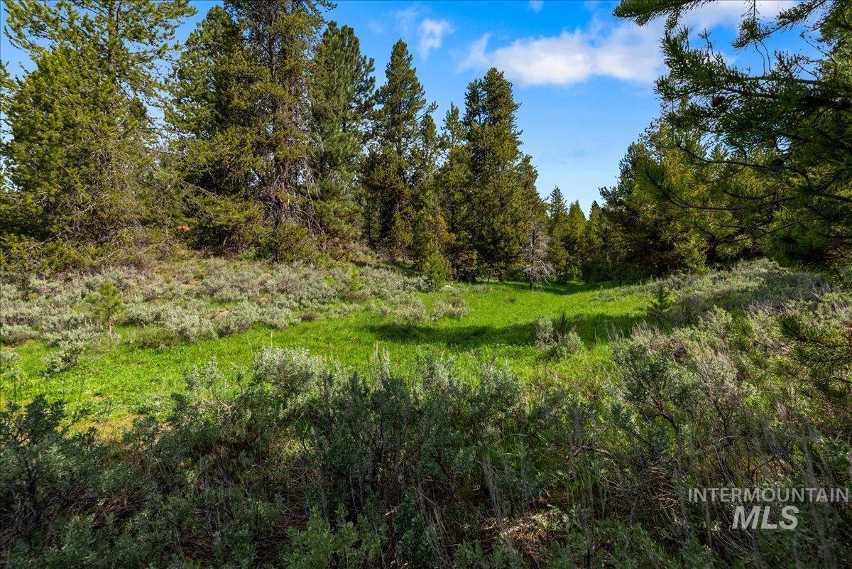Tbd Pointes Road Property Photo 45