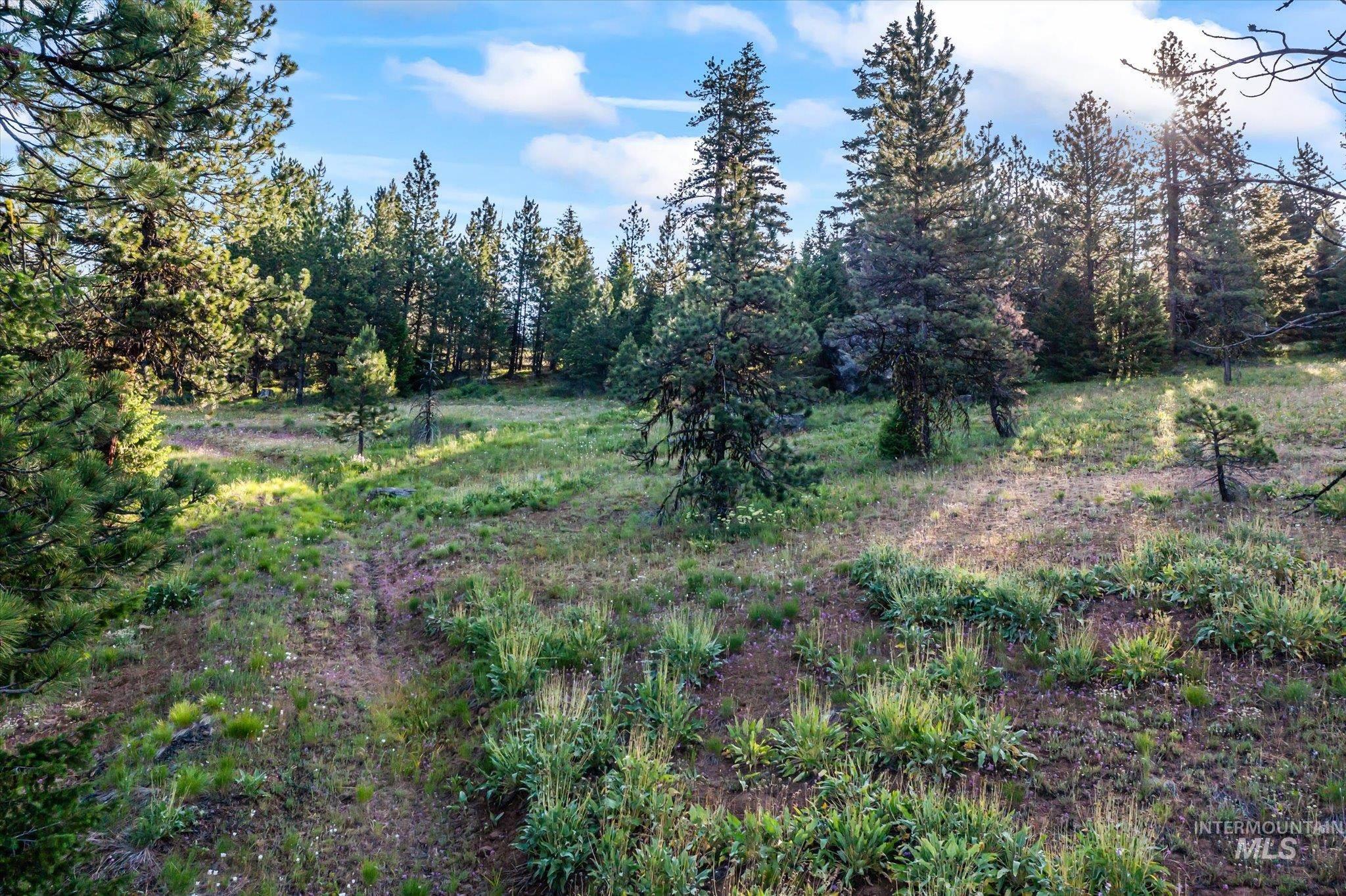 Lot 15 Harrington Pl Property Photo 6