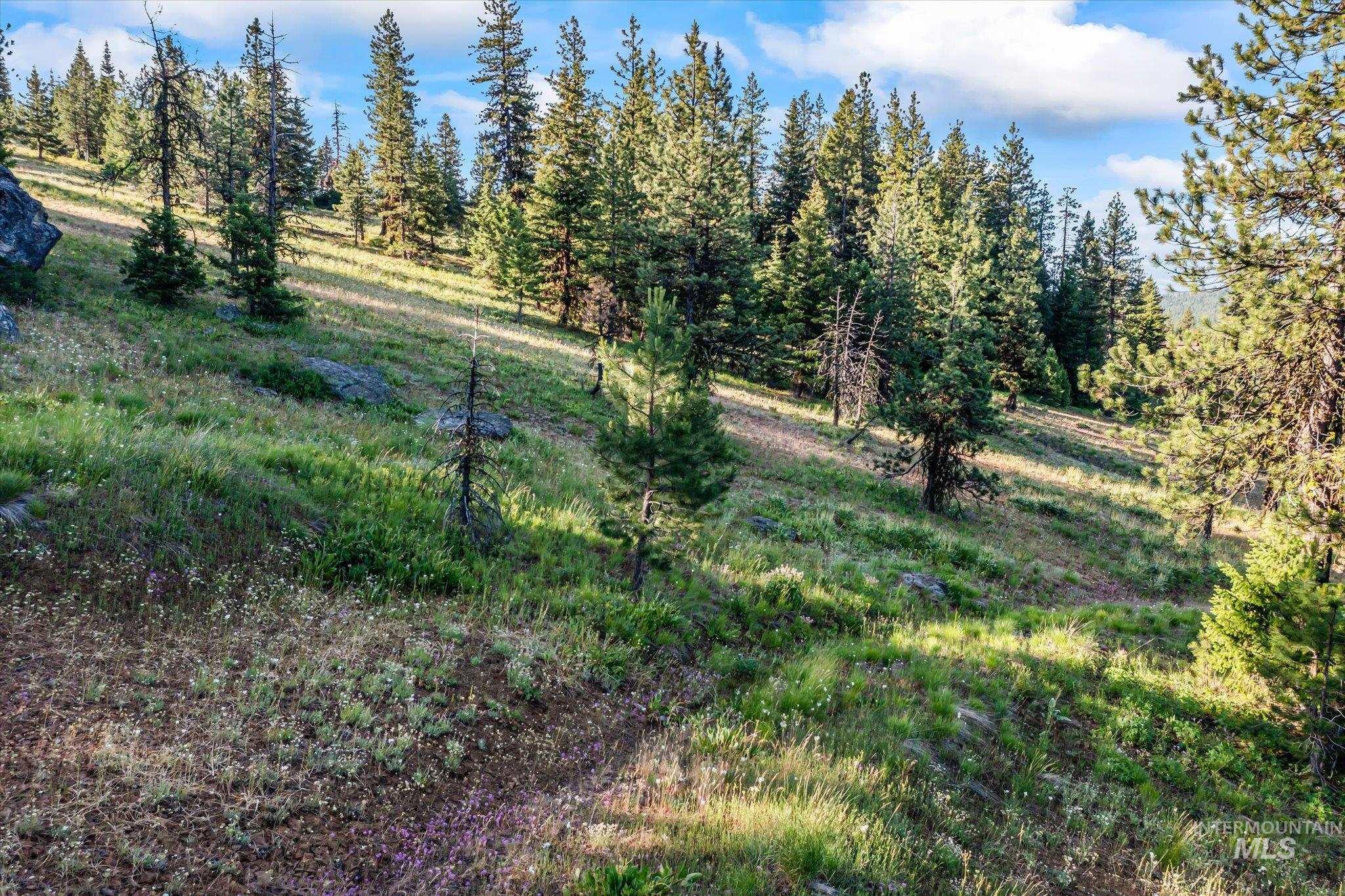 Lot 15 Harrington Pl Property Photo 9