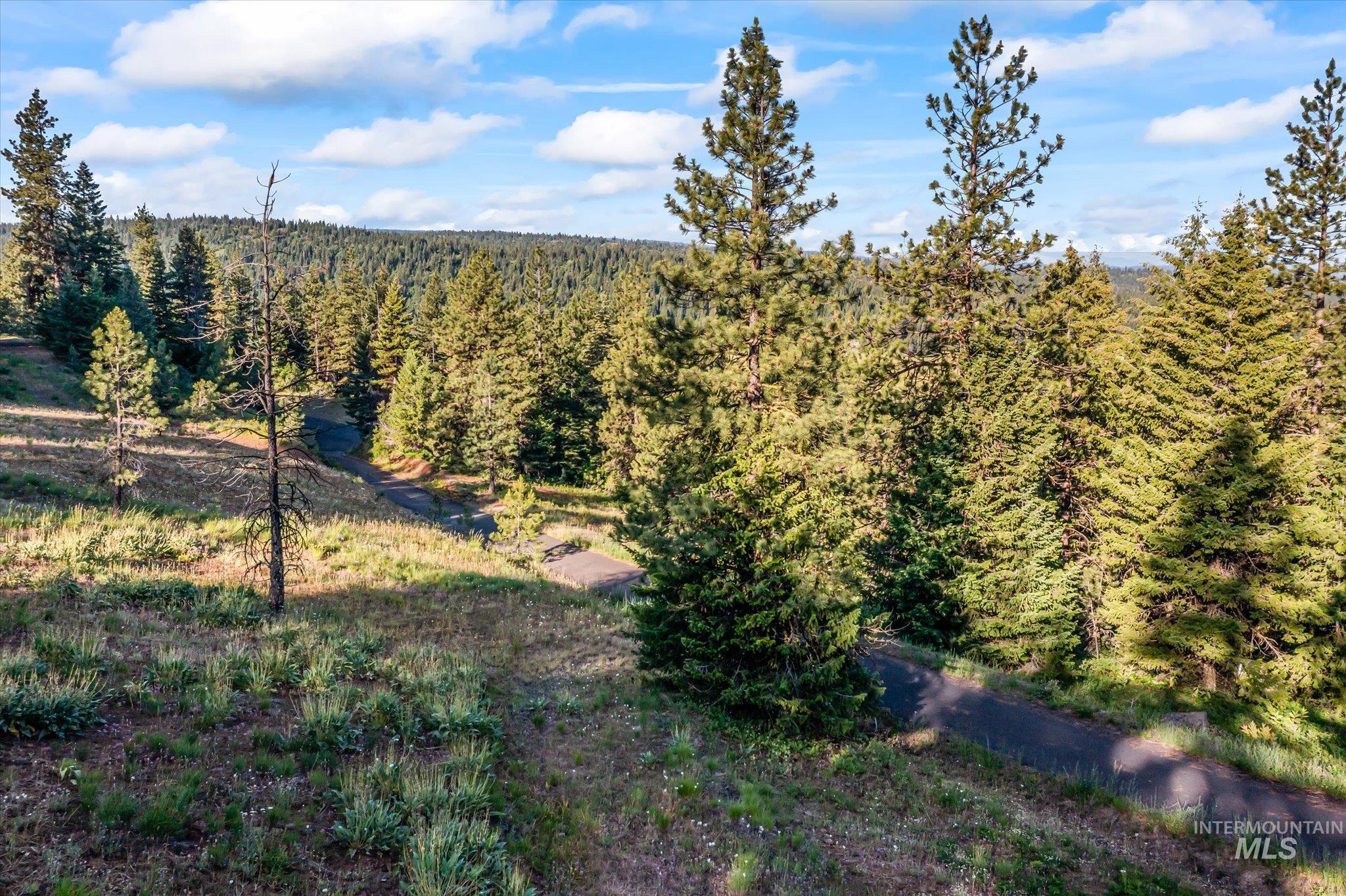 Lot 15 Harrington Pl Property Photo 10