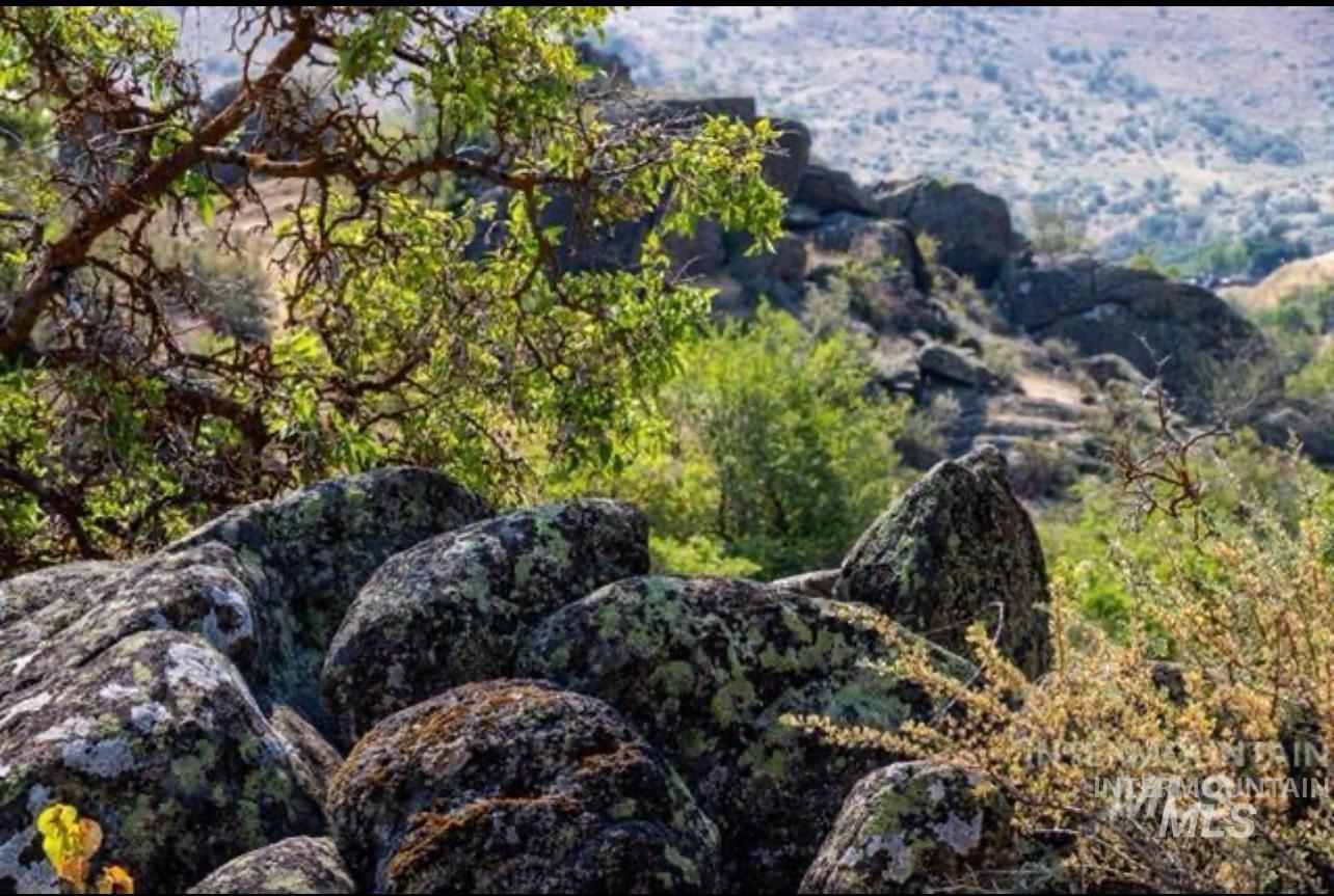 Tbd Sweet Ola Hwy Property Photo 9