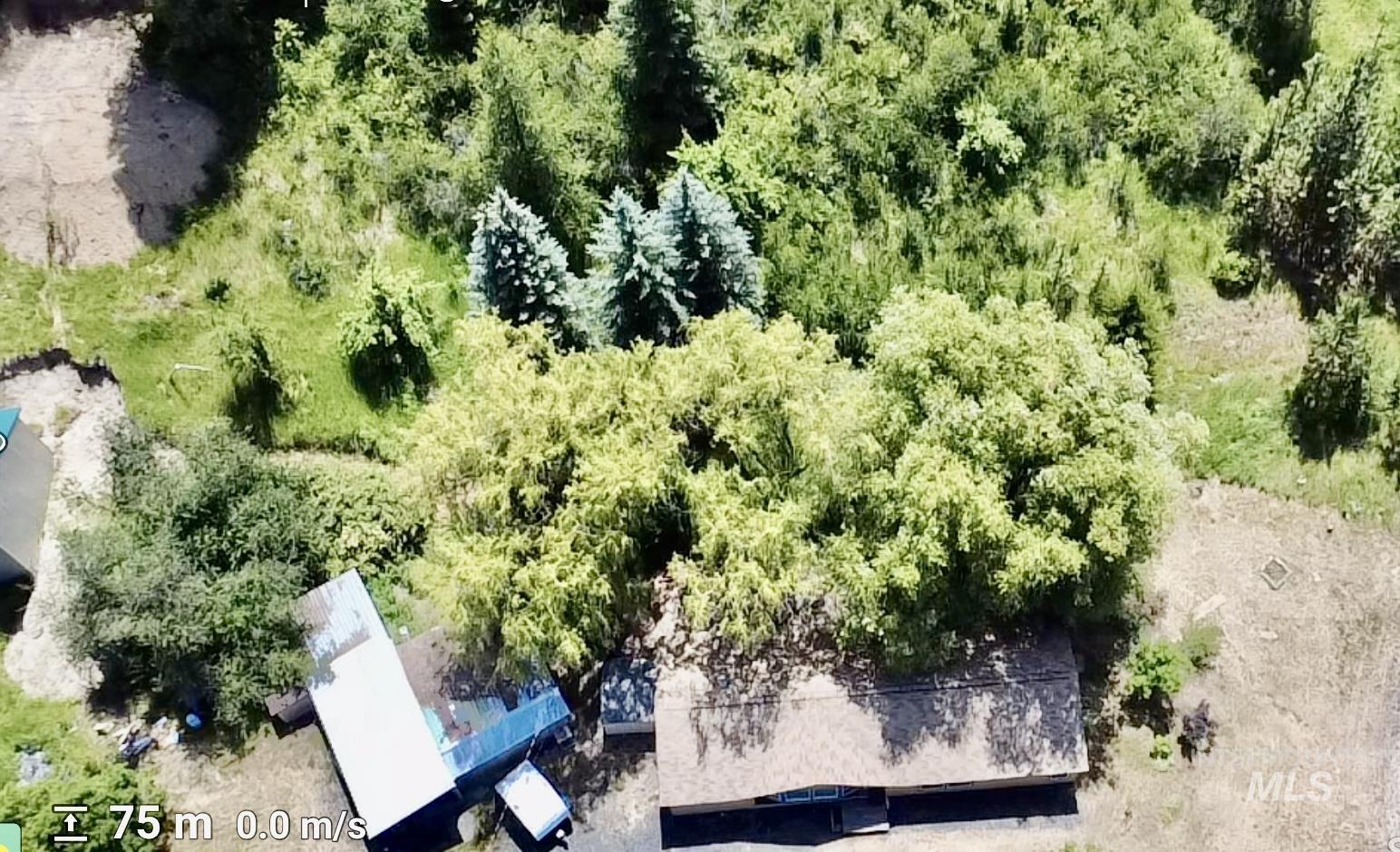 1111 Wallen Road Property Photo 46