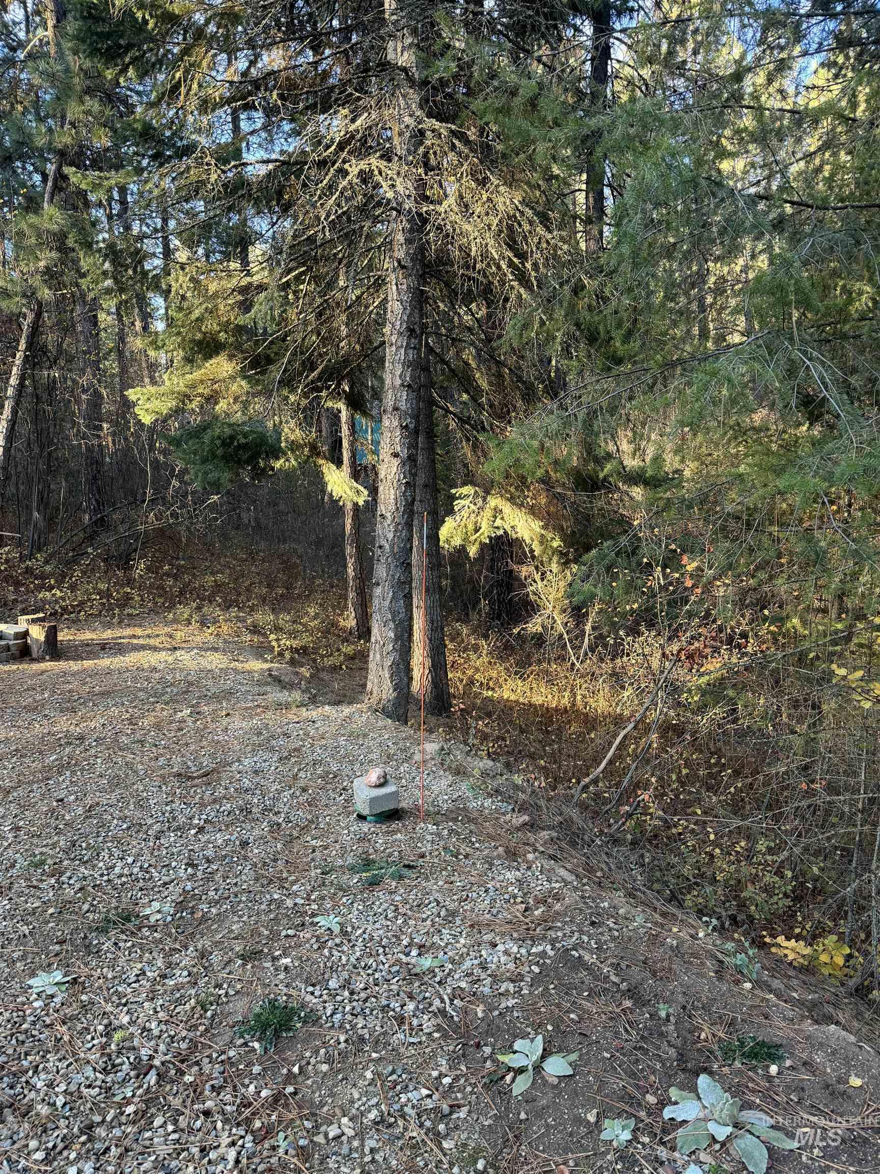 19 Frosty Hollow Property Photo 3