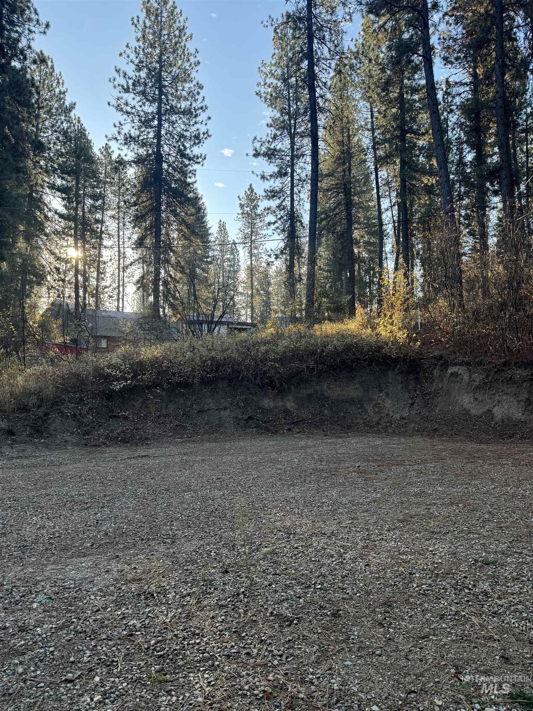 19 Frosty Hollow Property Photo 5