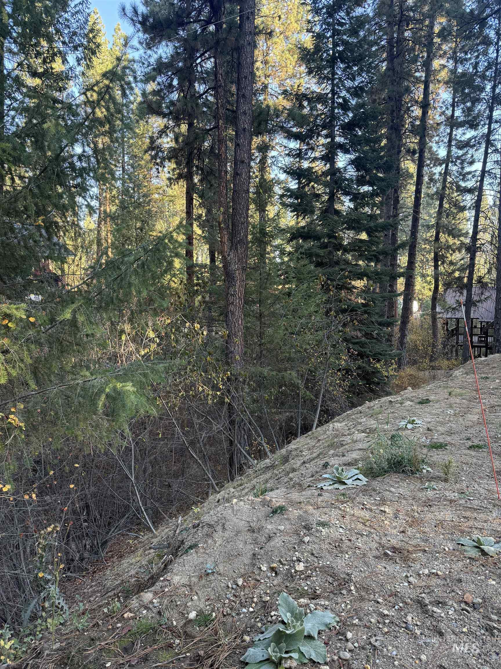 19 Frosty Hollow Property Photo 7