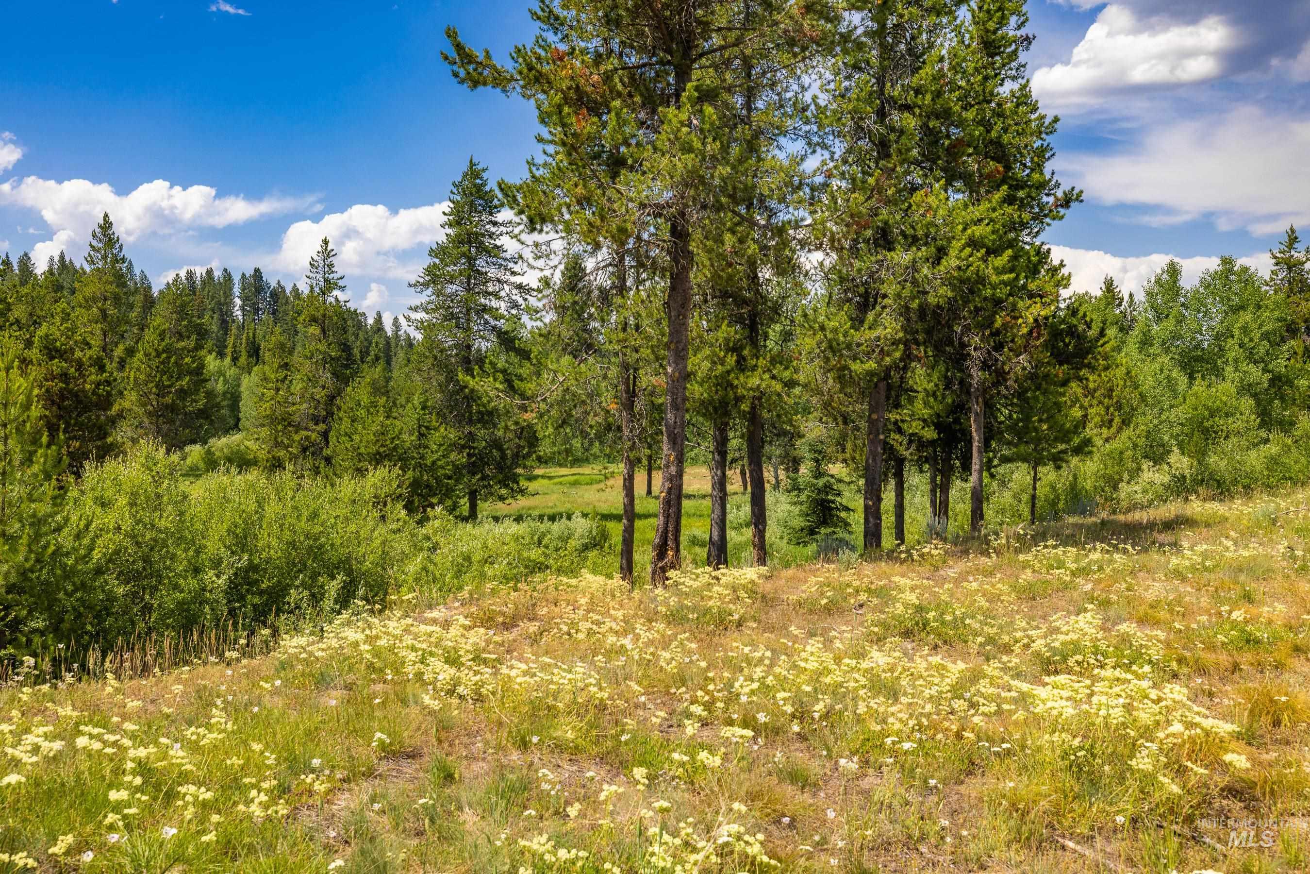 Lot 60 River Ranch Court Property Photo 5