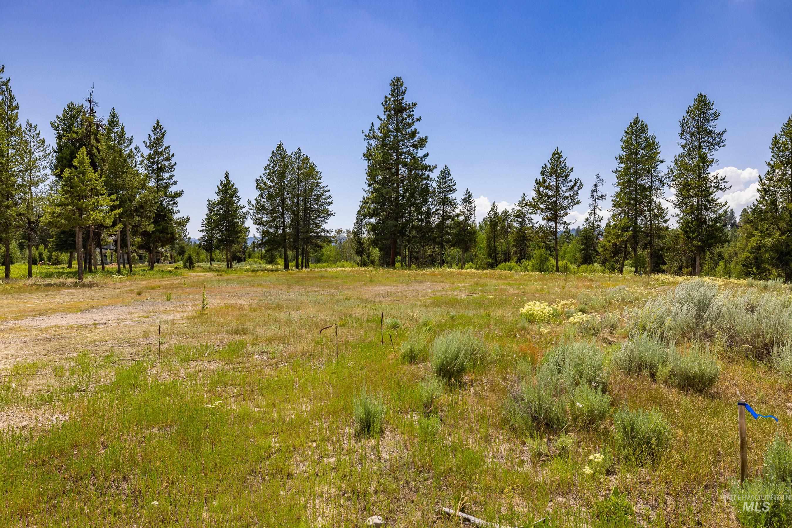 Lot 60 River Ranch Court Property Photo 6