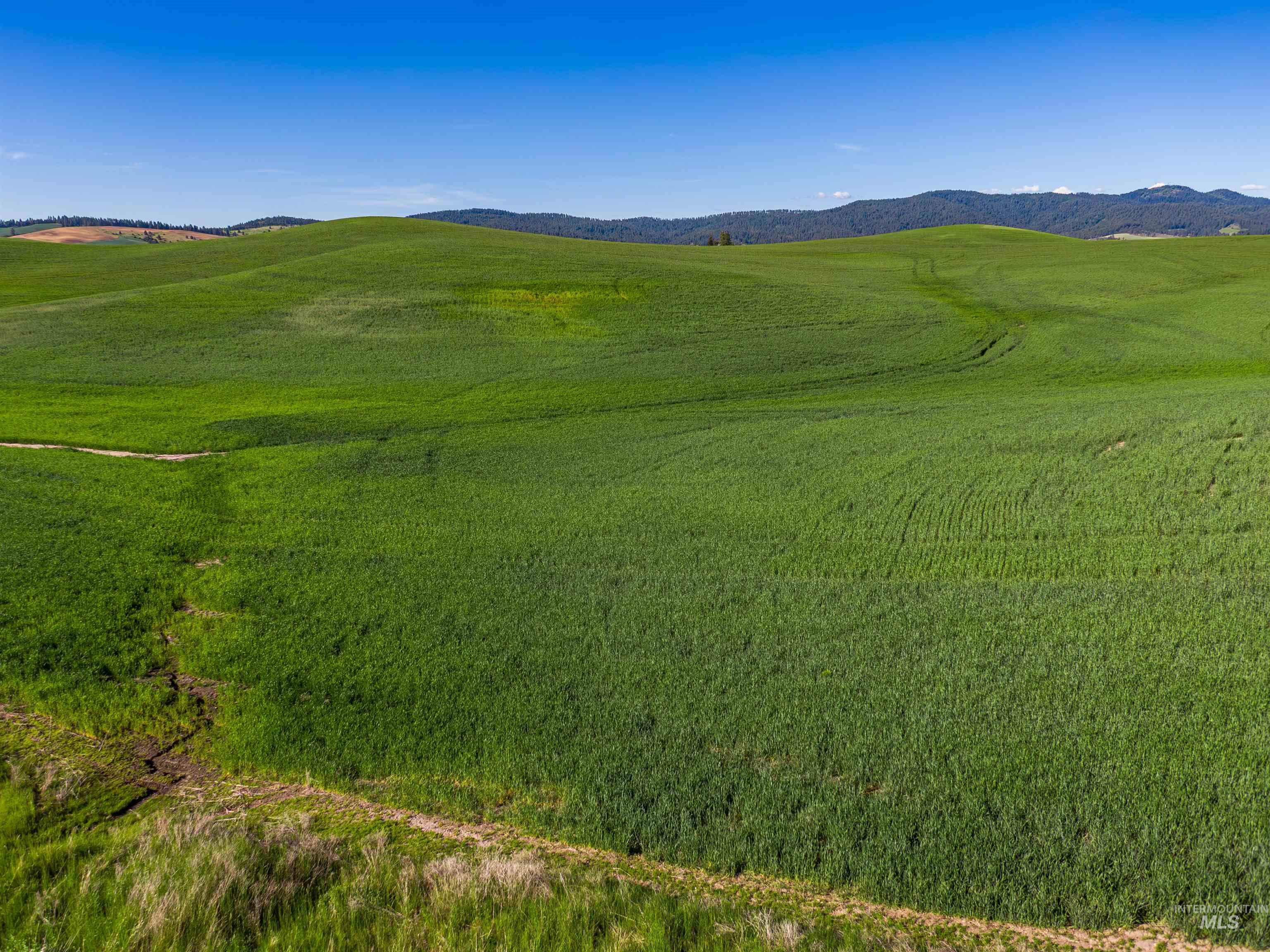 Tbd Mix Road Property Photo 11