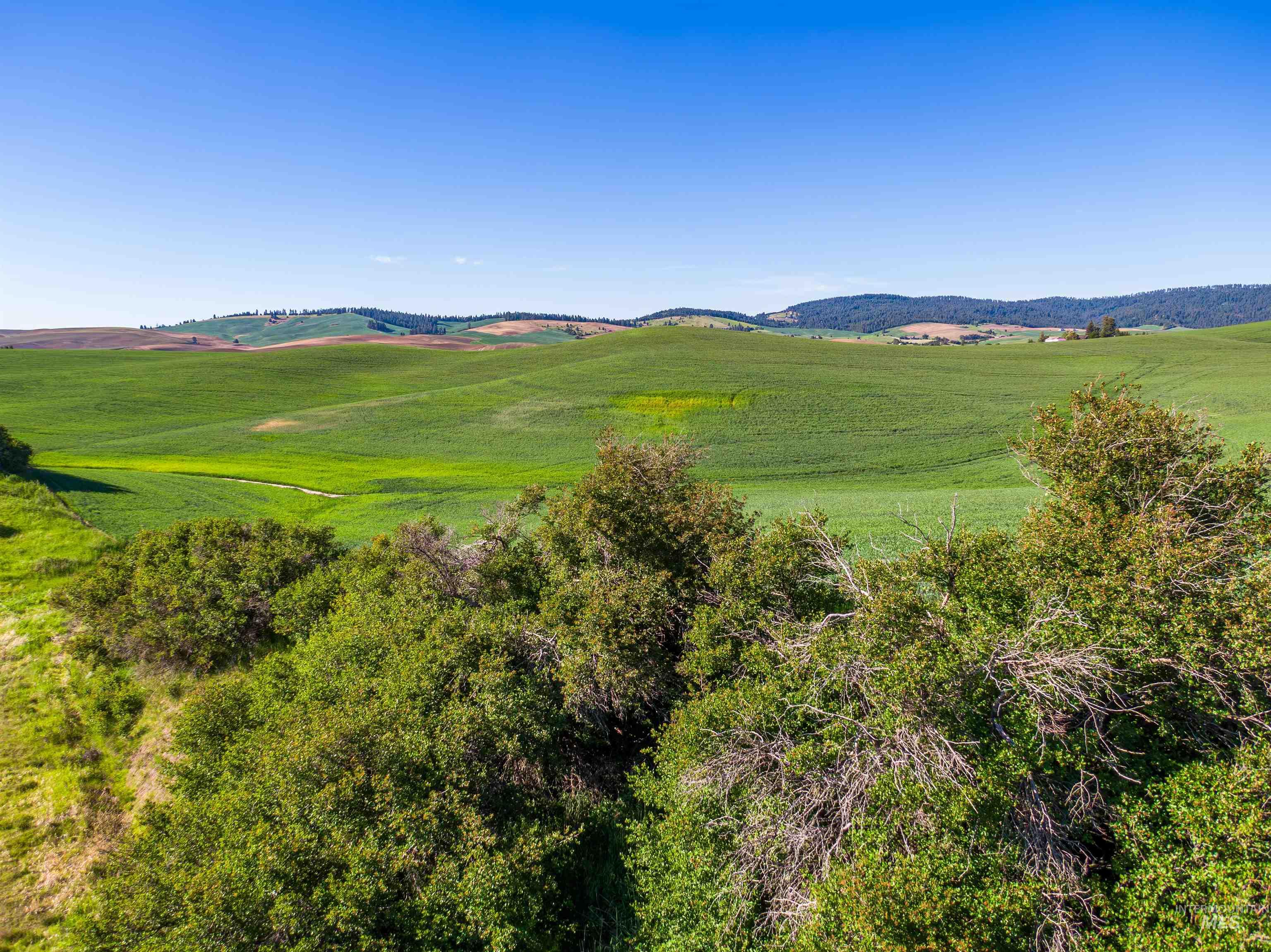 Tbd Mix Road Property Photo 13
