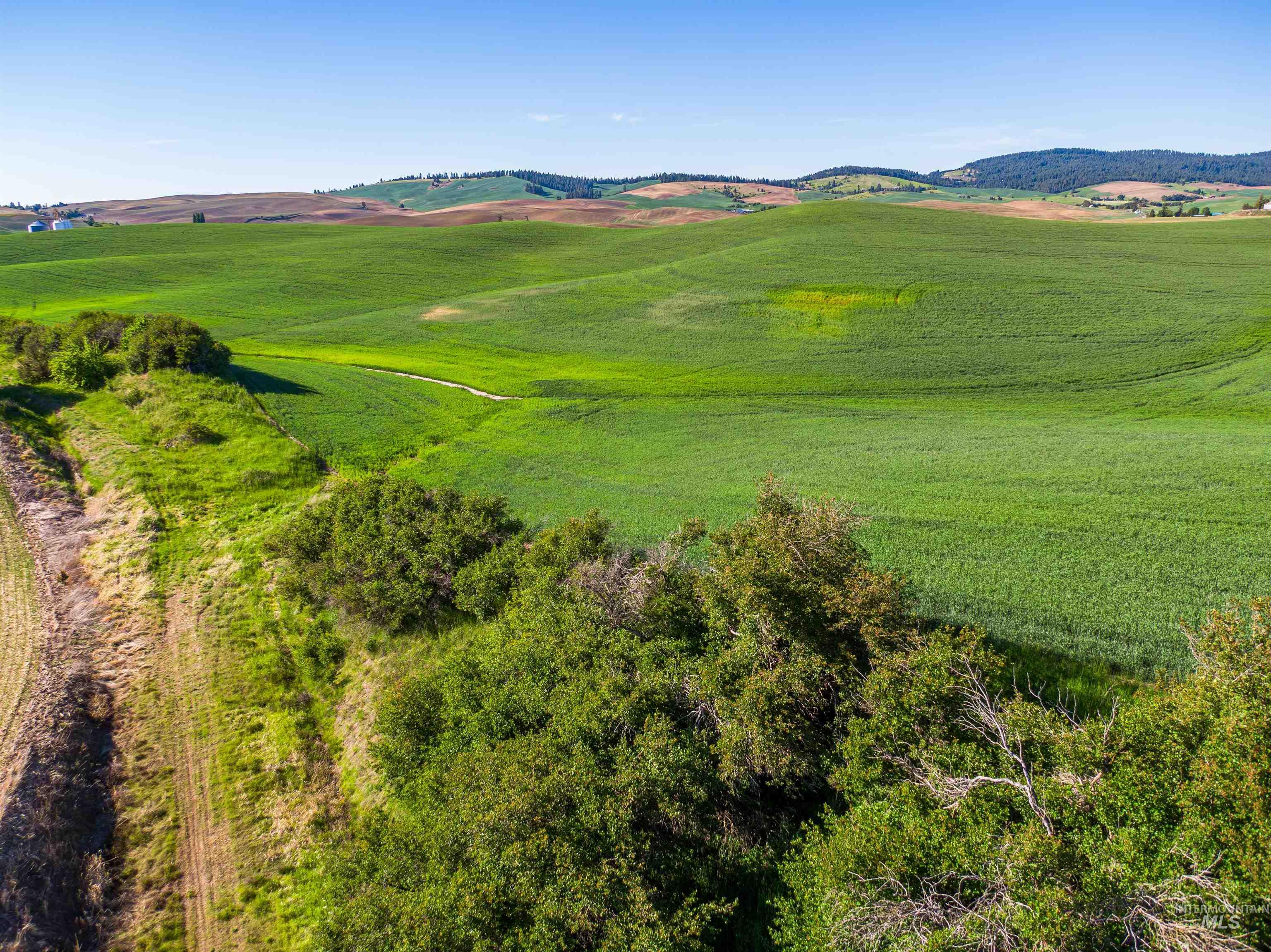 Tbd Mix Road Property Photo 14