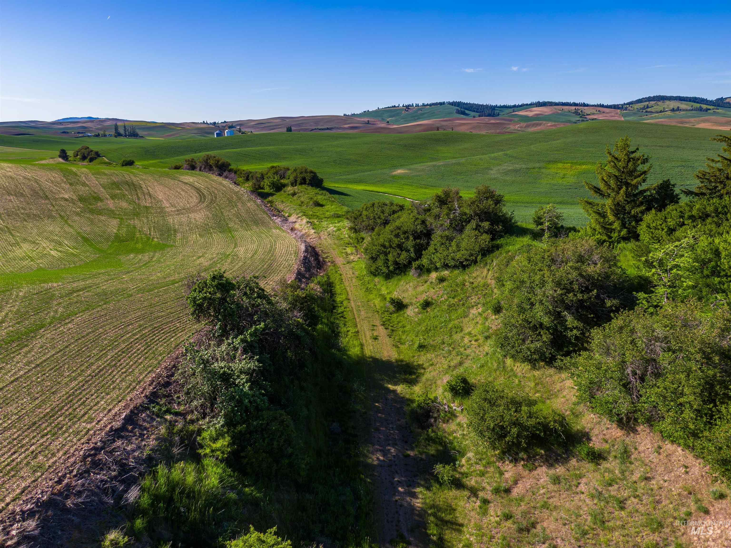 Tbd Mix Road Property Photo 15