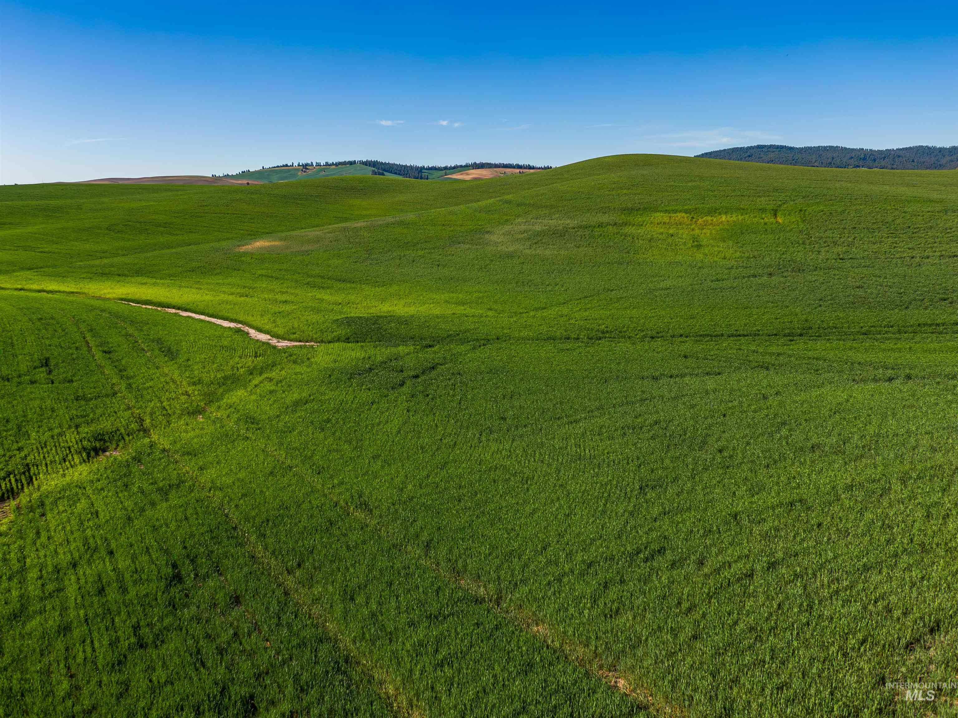 Tbd Mix Road Property Photo 17