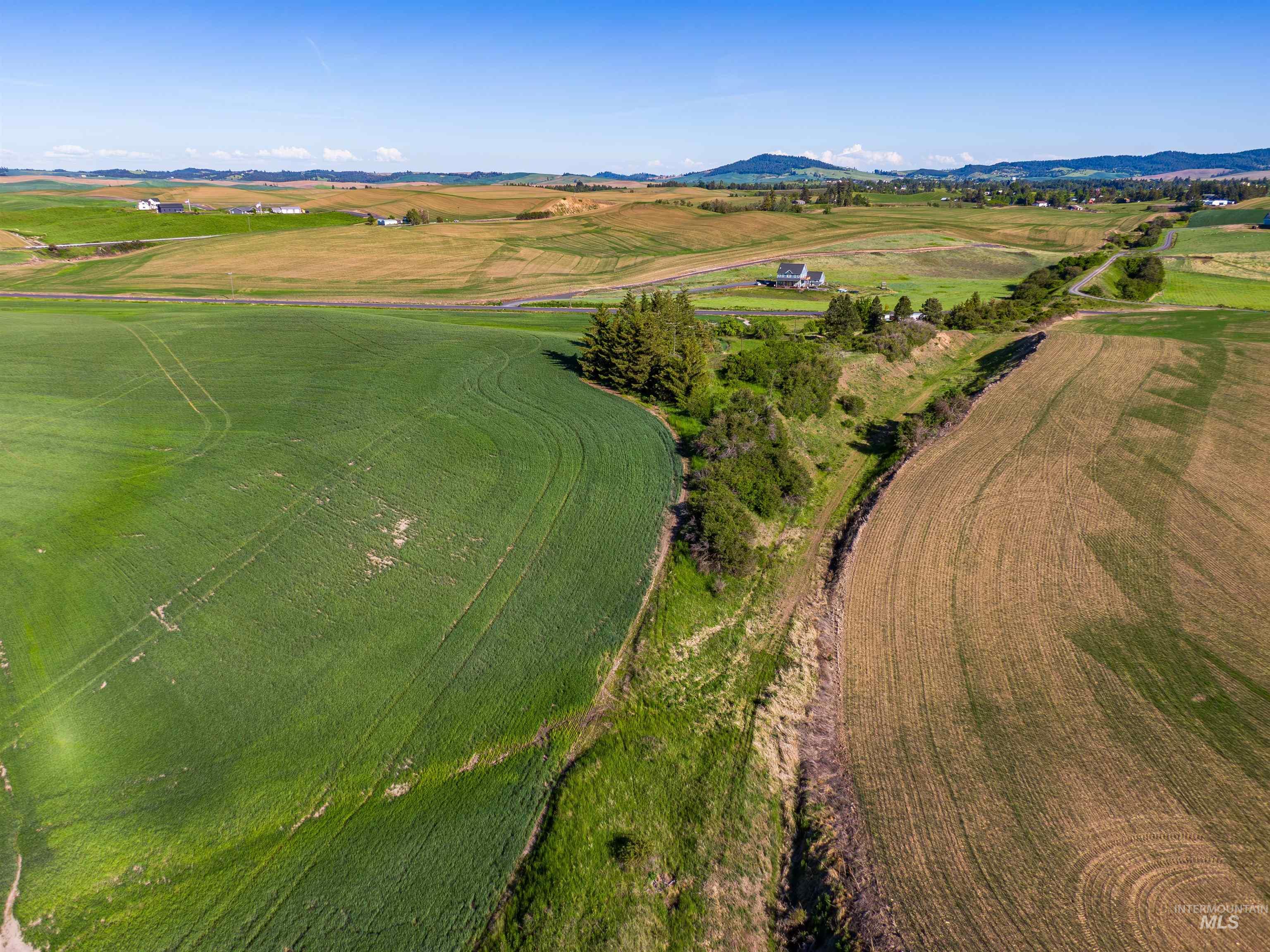 Tbd Mix Road Property Photo 20