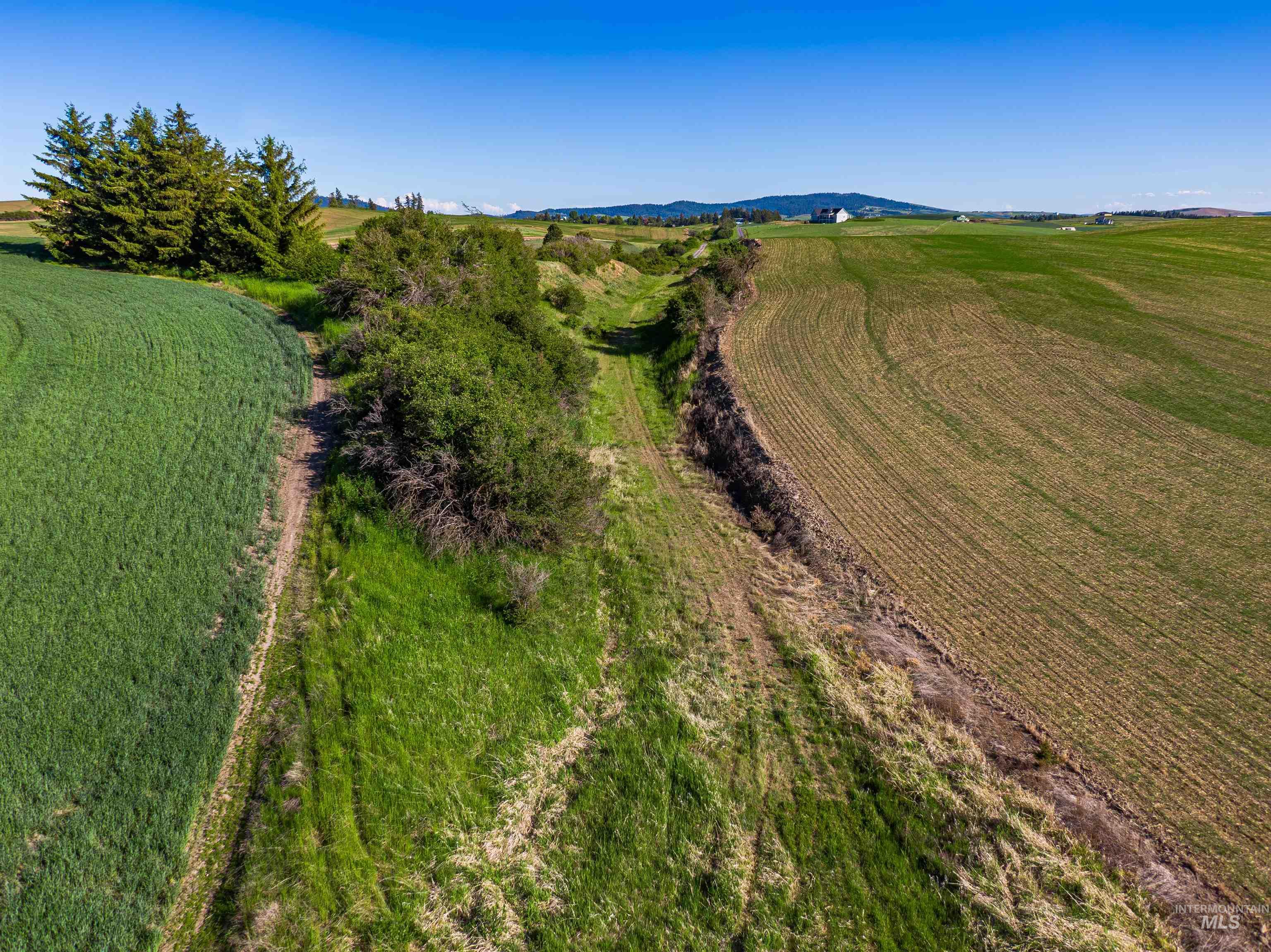 Tbd Mix Road Property Photo 22