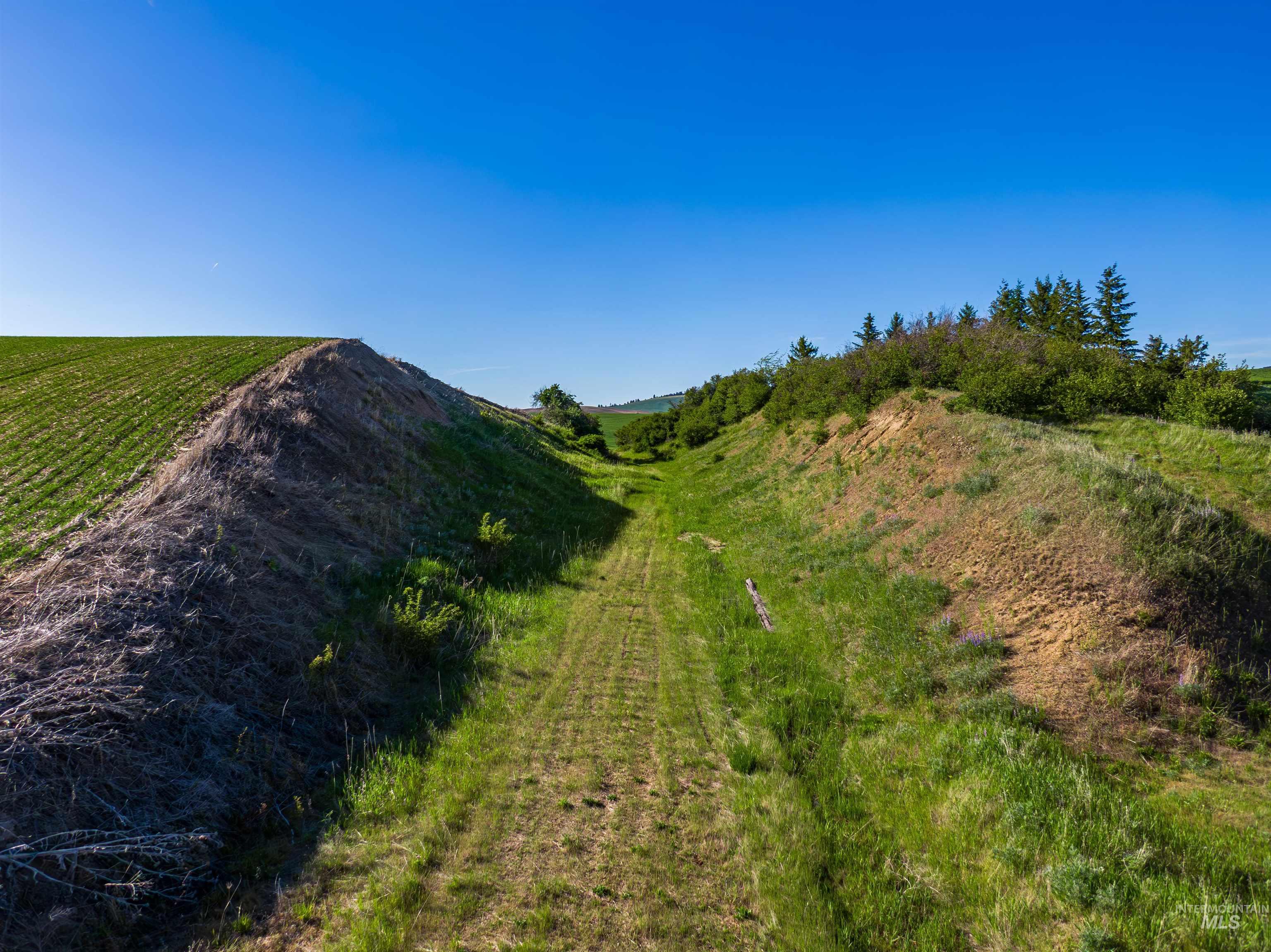 Tbd Mix Road Property Photo 23