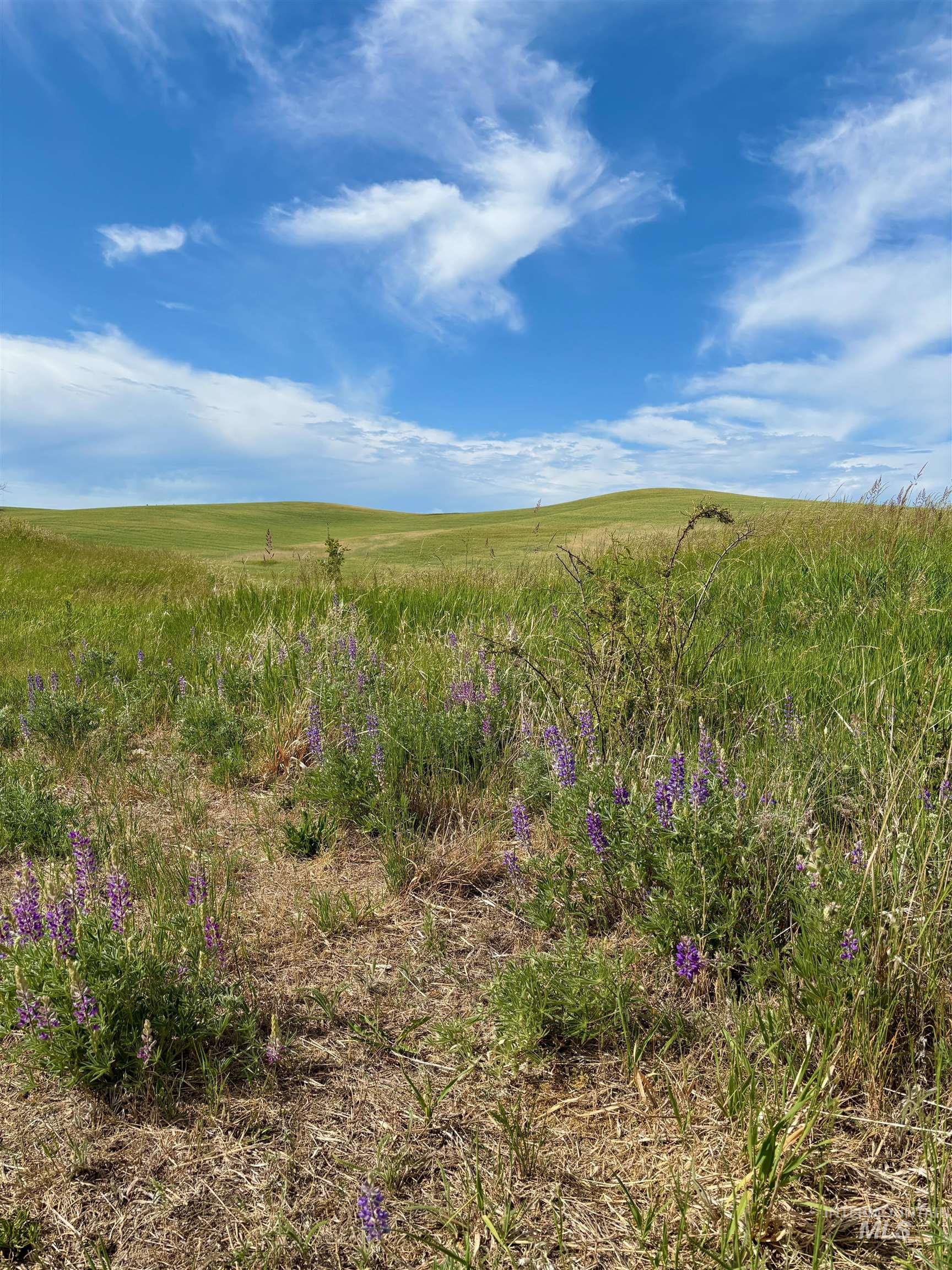 Tbd Mix Road Property Photo 24