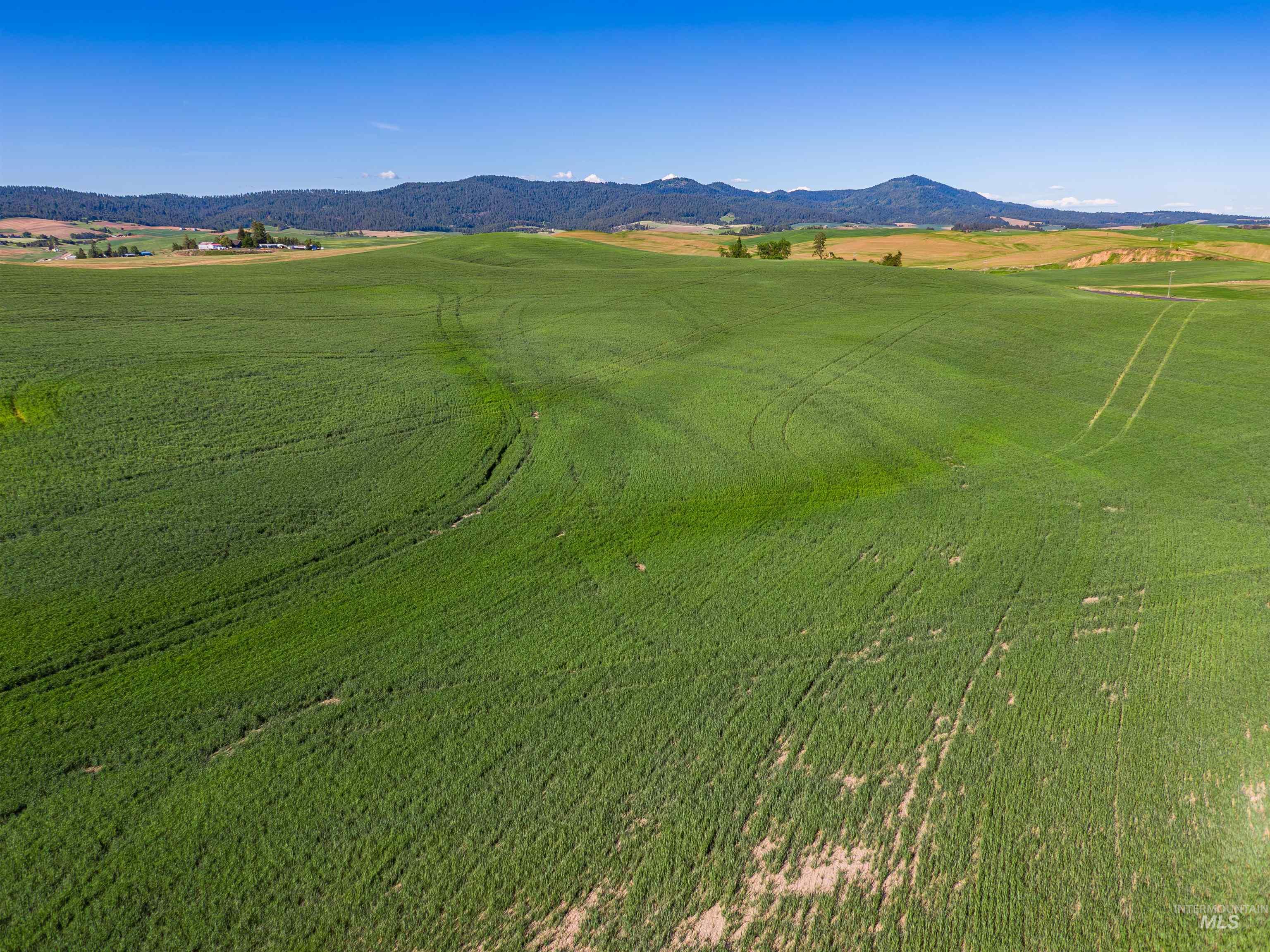 Tbd Mix Road Property Photo 25