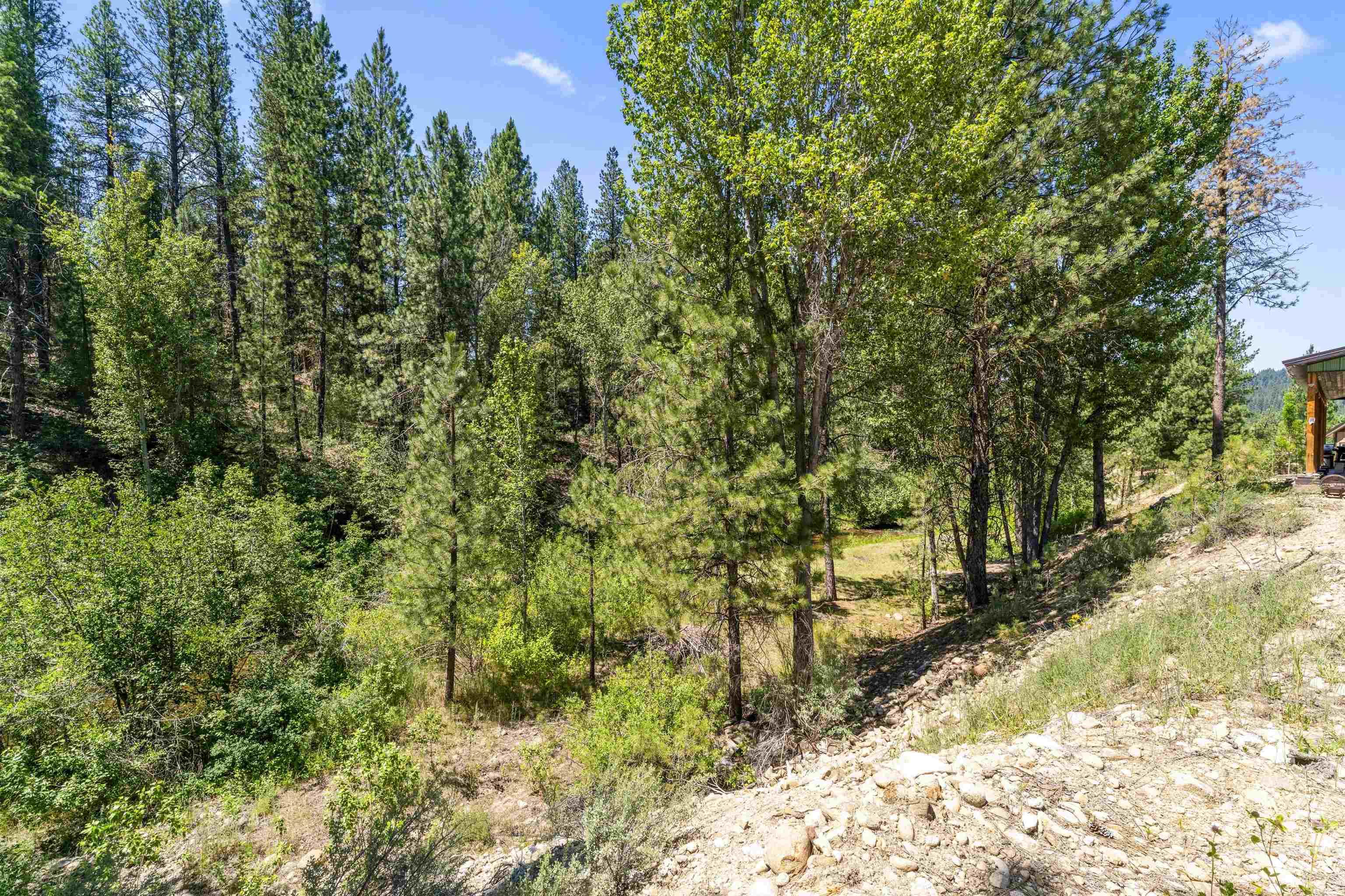 Lot 10 Prospector Ln Property Photo 22