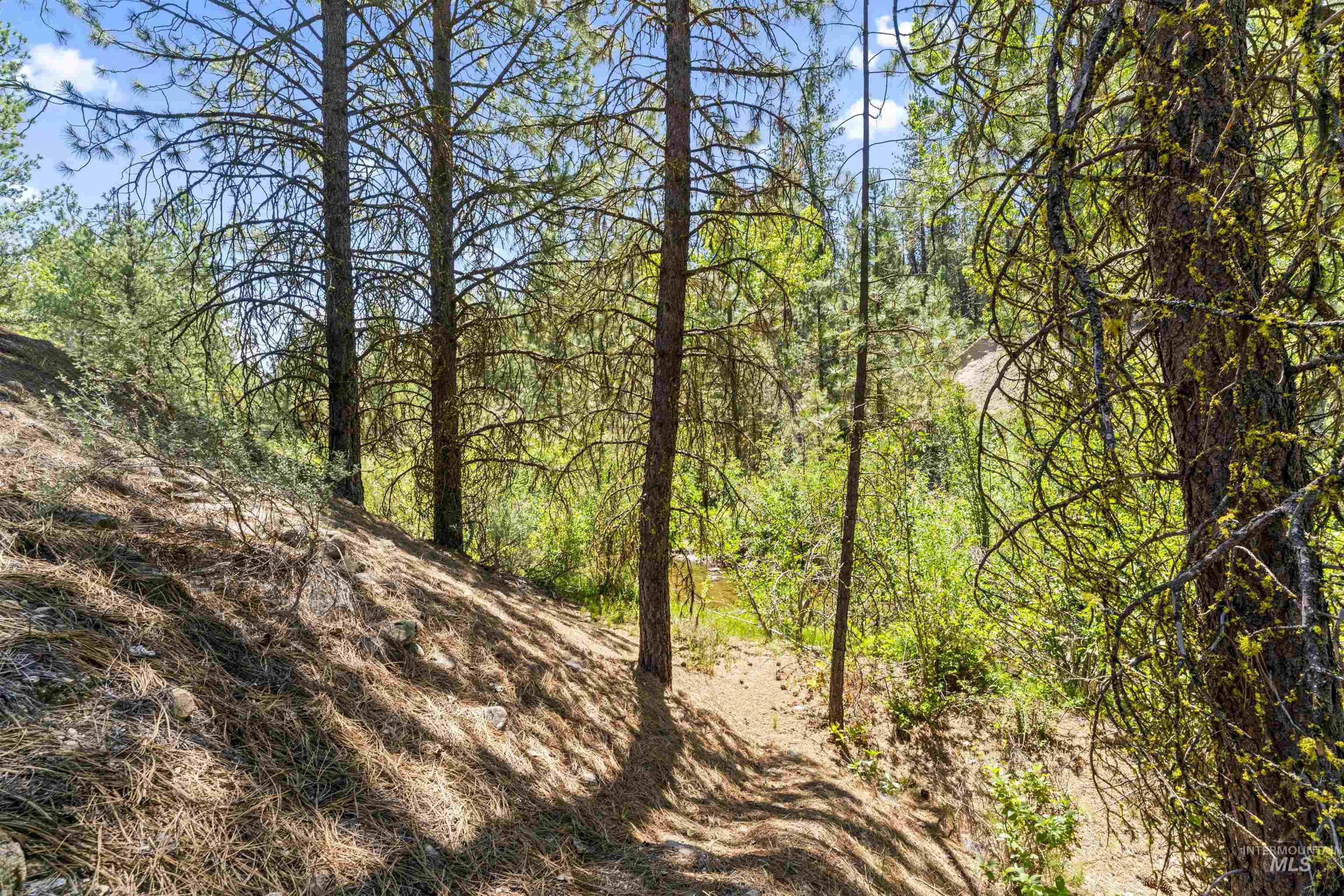 Lot 10 Prospector Ln Property Photo 29