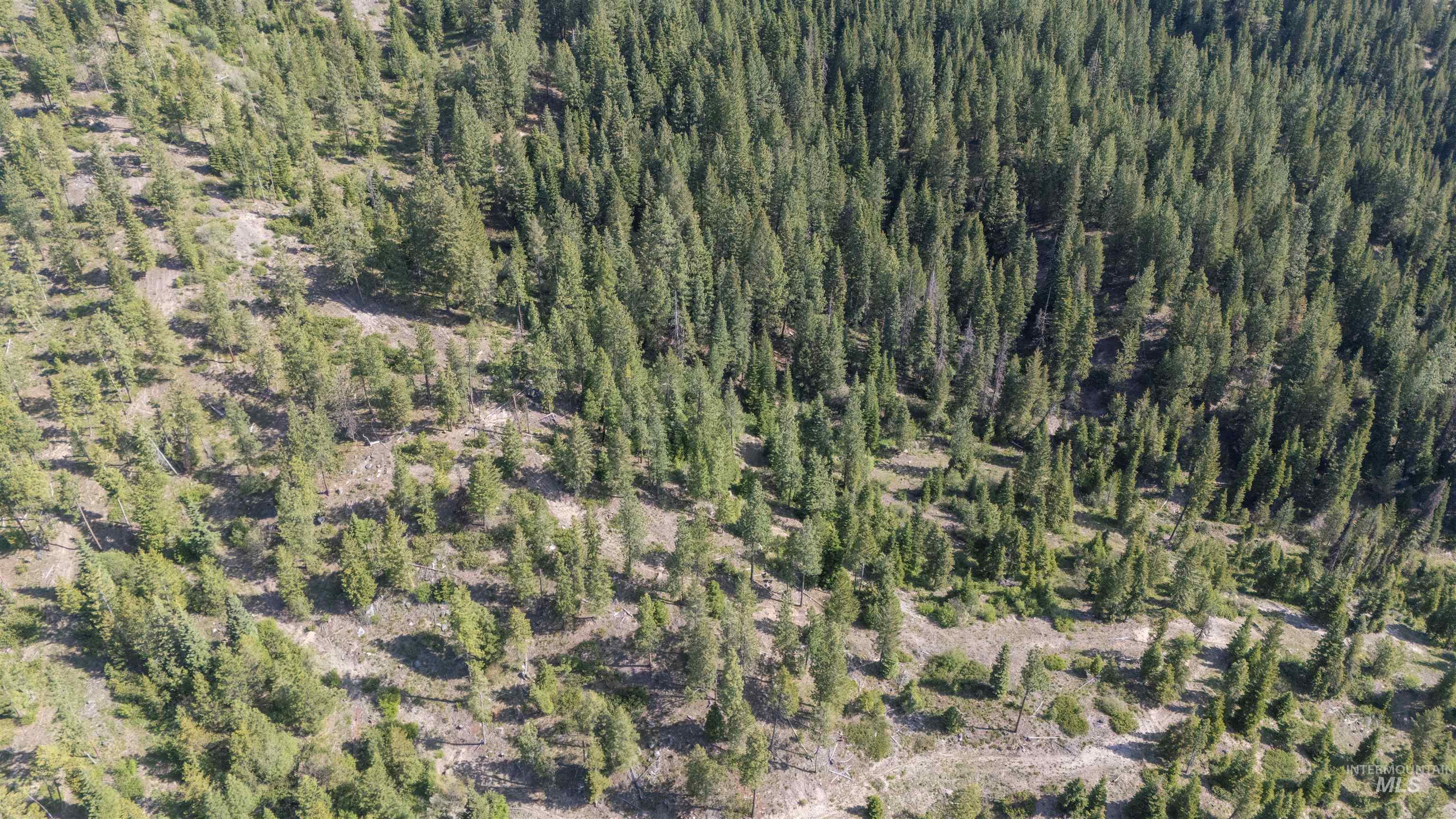 Tbd 2 Warm Lake Road Property Photo 6