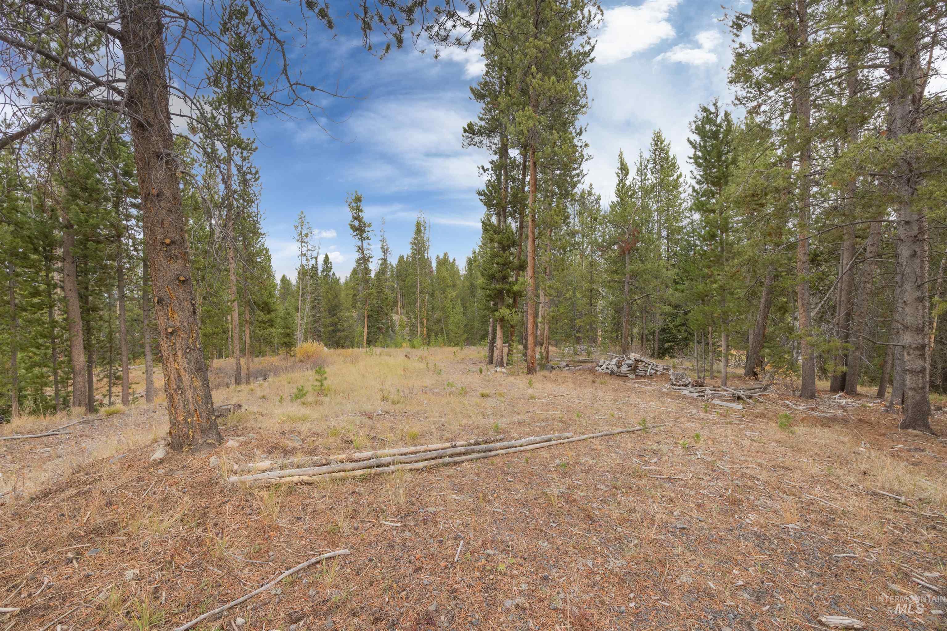 773 Smiley Creek Rd Property Photo 8