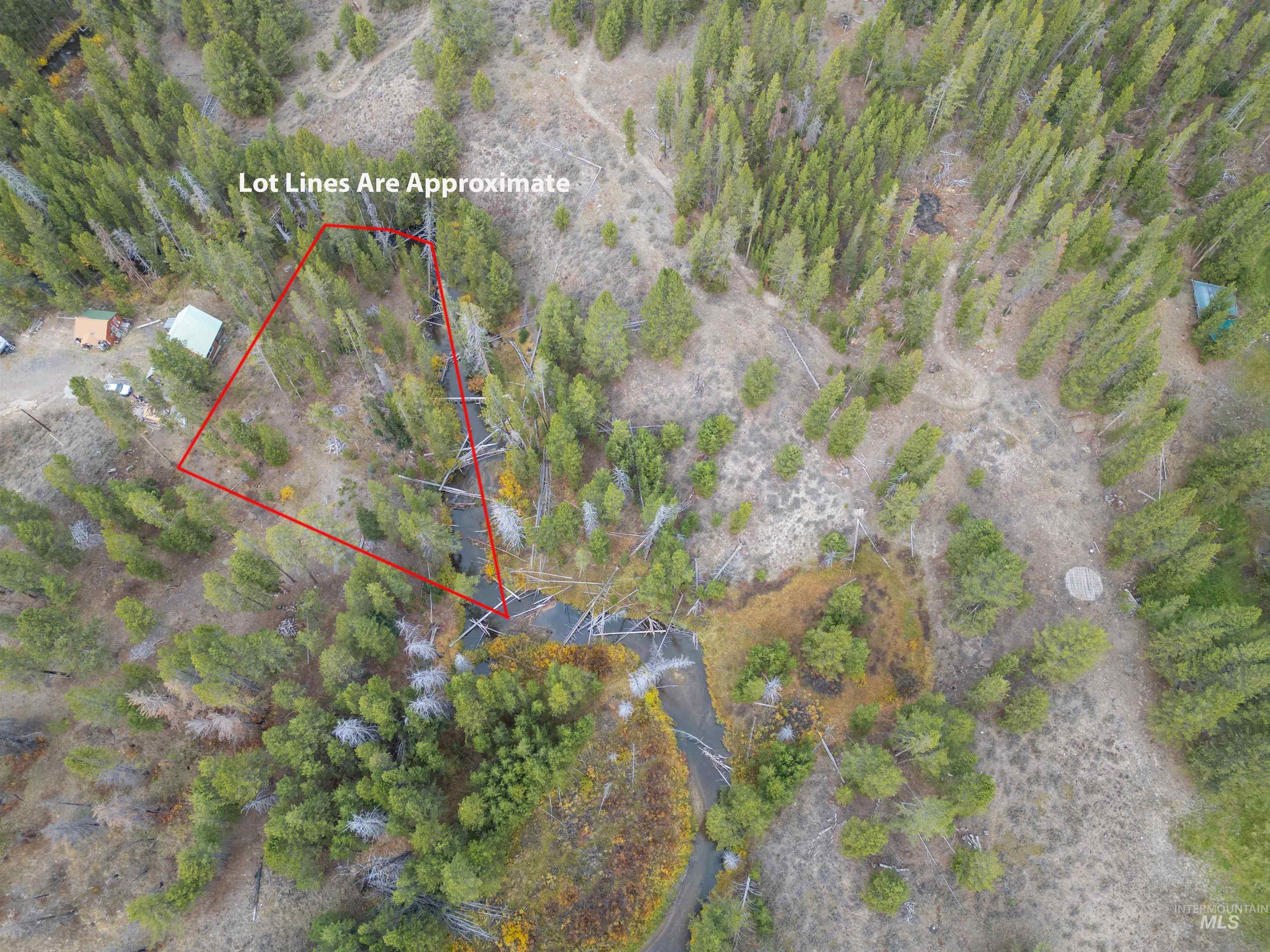 773 Smiley Creek Rd Property Photo 12