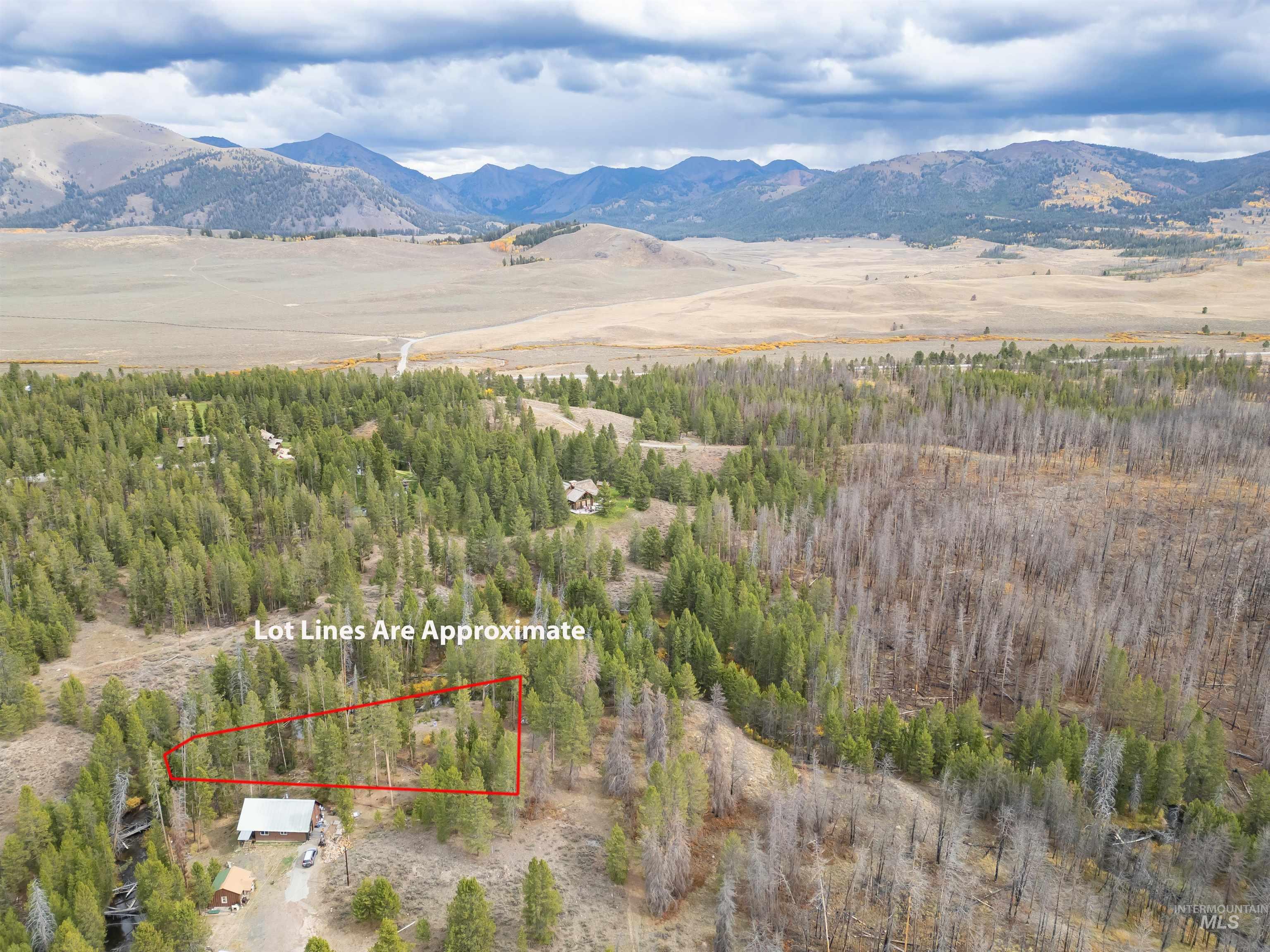773 Smiley Creek Rd Property Photo 18