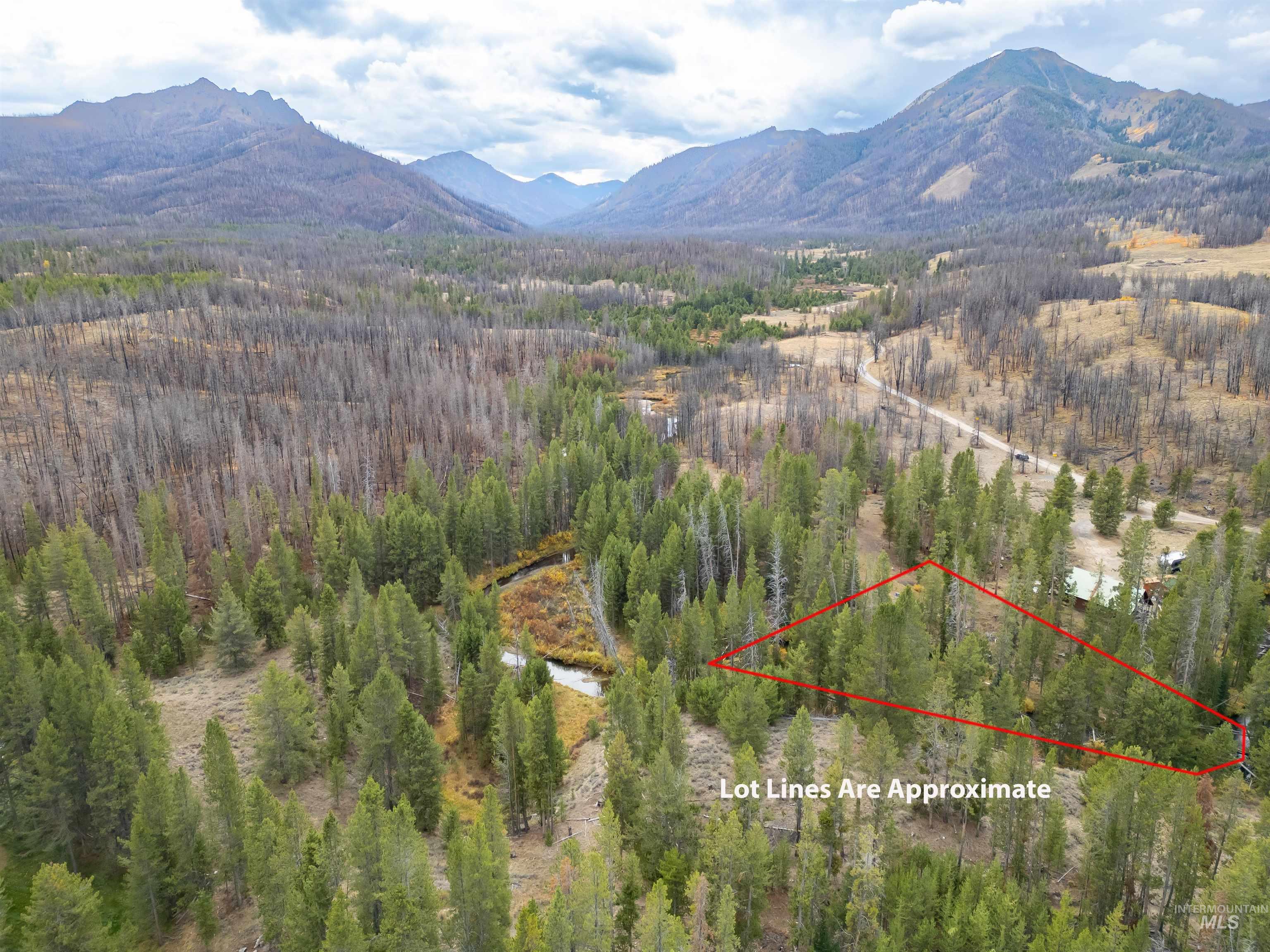 773 Smiley Creek Rd Property Photo 22