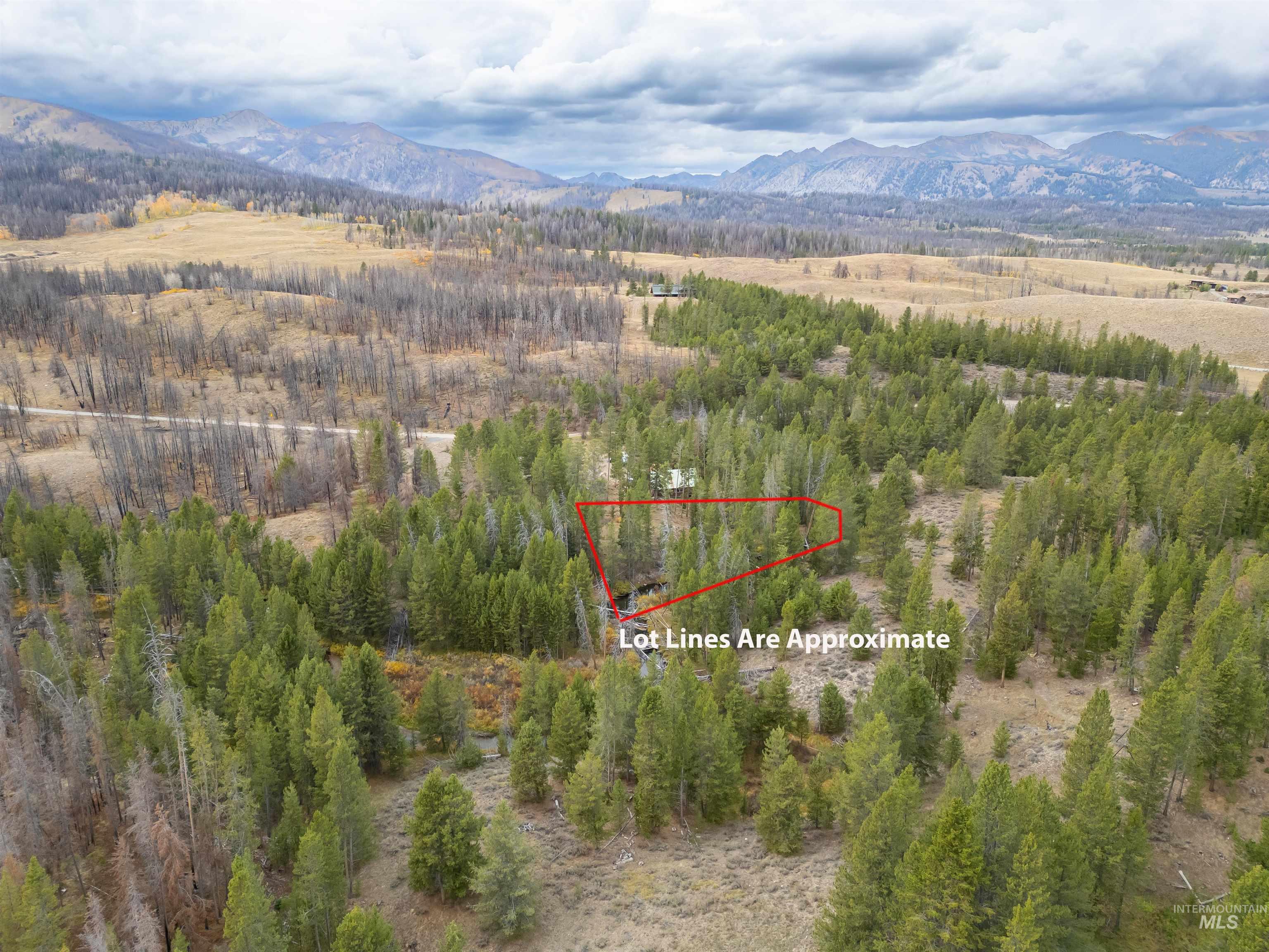 773 Smiley Creek Rd Property Photo 24