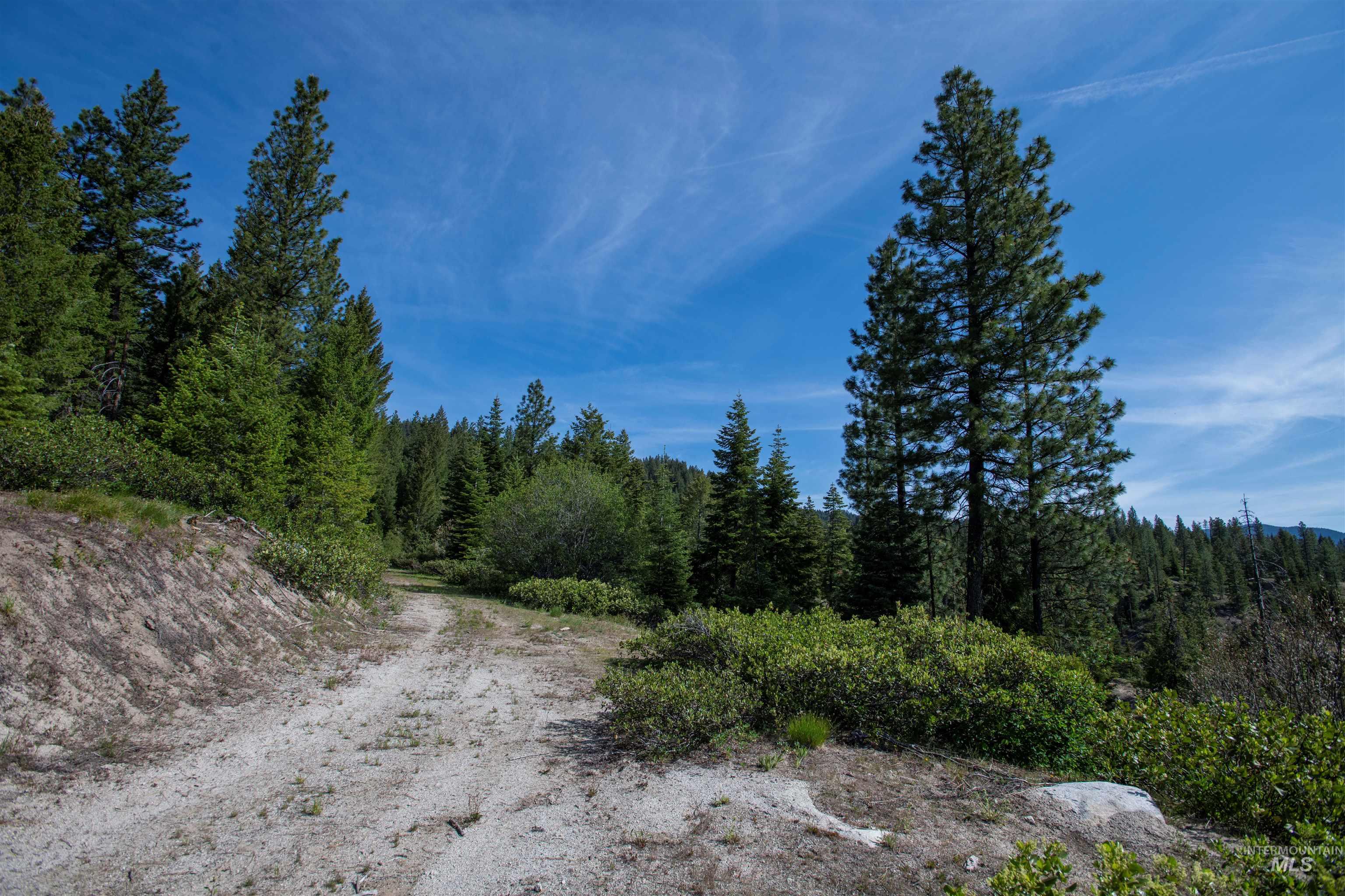 Tbd 4 Warm Lake Road Property Photo 6