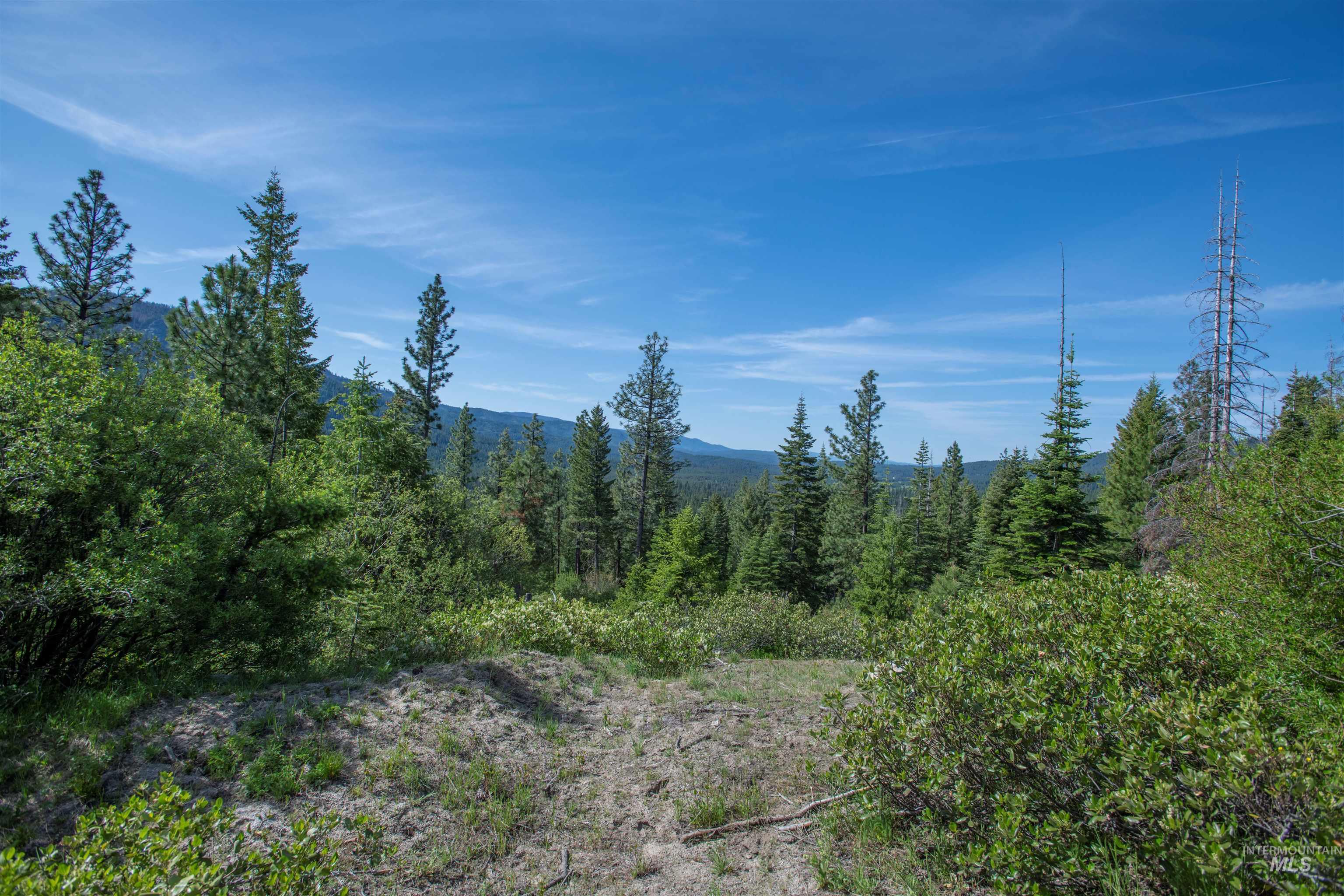 Tbd 4 Warm Lake Road Property Photo 7