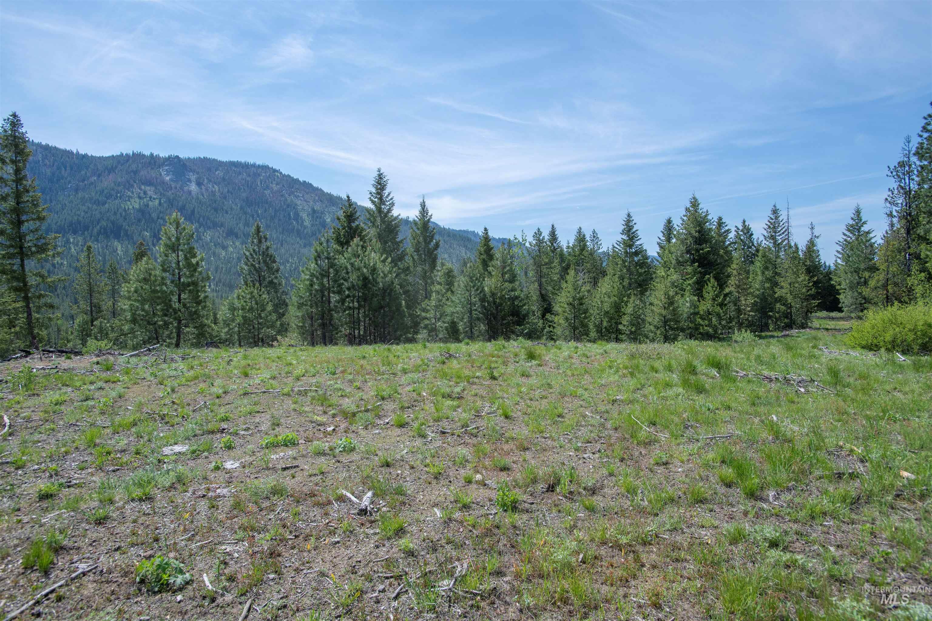 Tbd 4 Warm Lake Road Property Photo 8