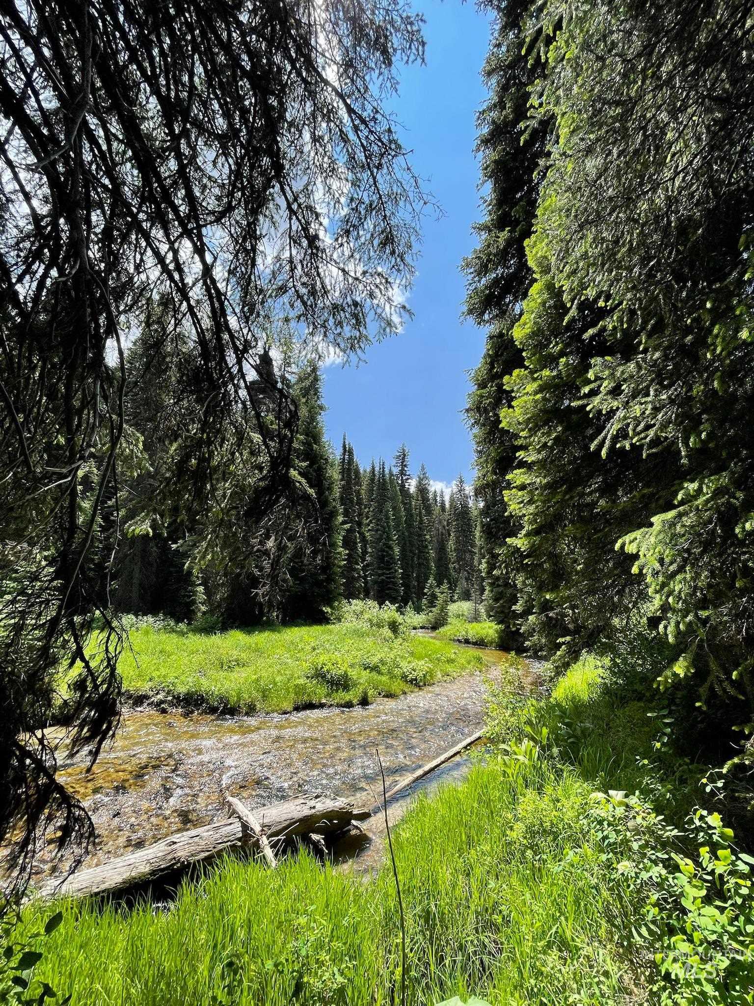 Tbd 6 Warm Lake Road Property Photo 15