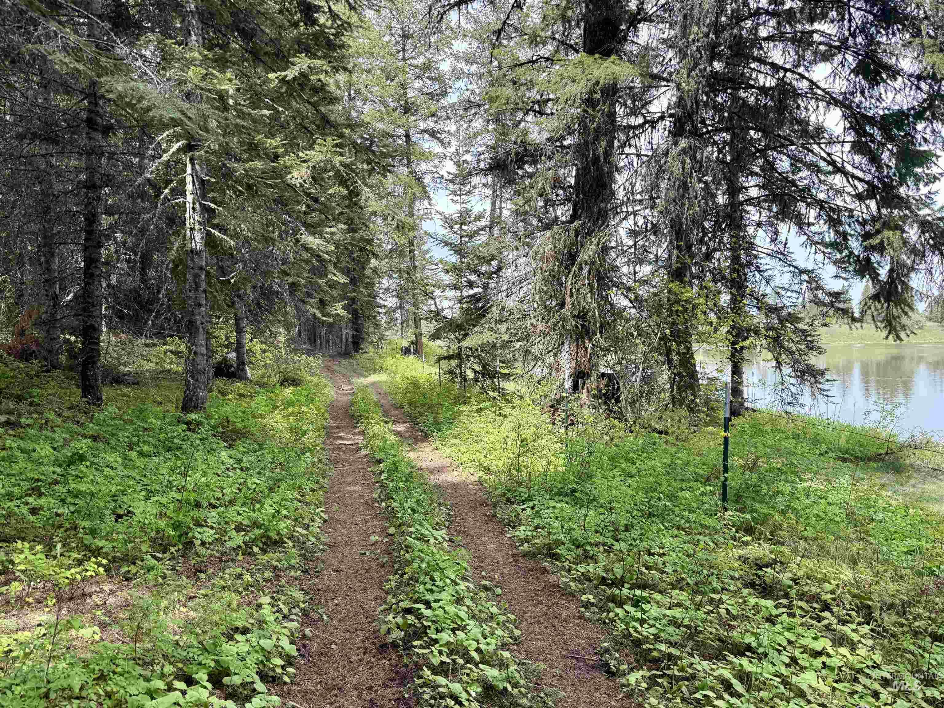 Tbd 4 Mile Road Property Photo 4