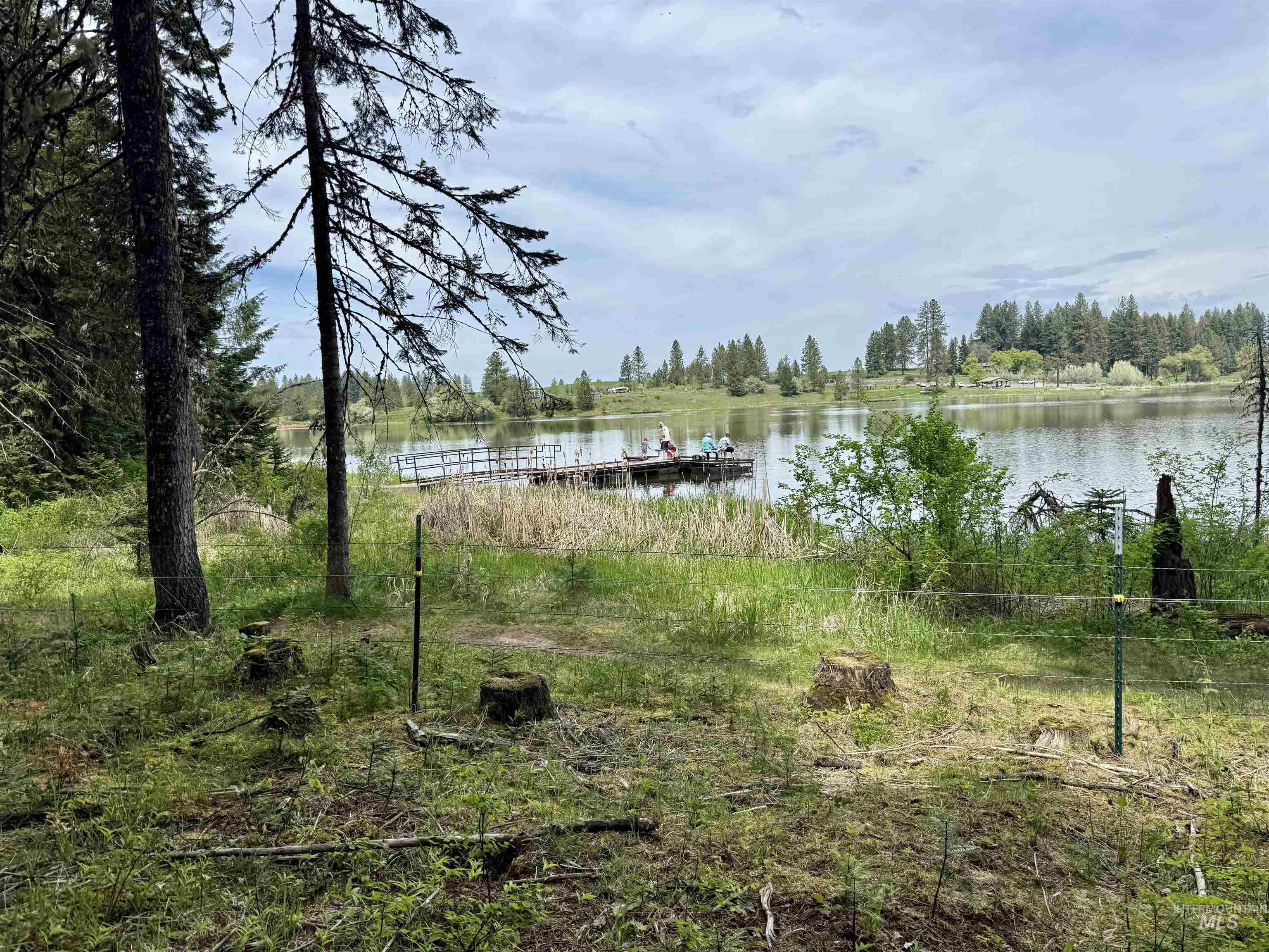 Tbd 4 Mile Road Property Photo 5