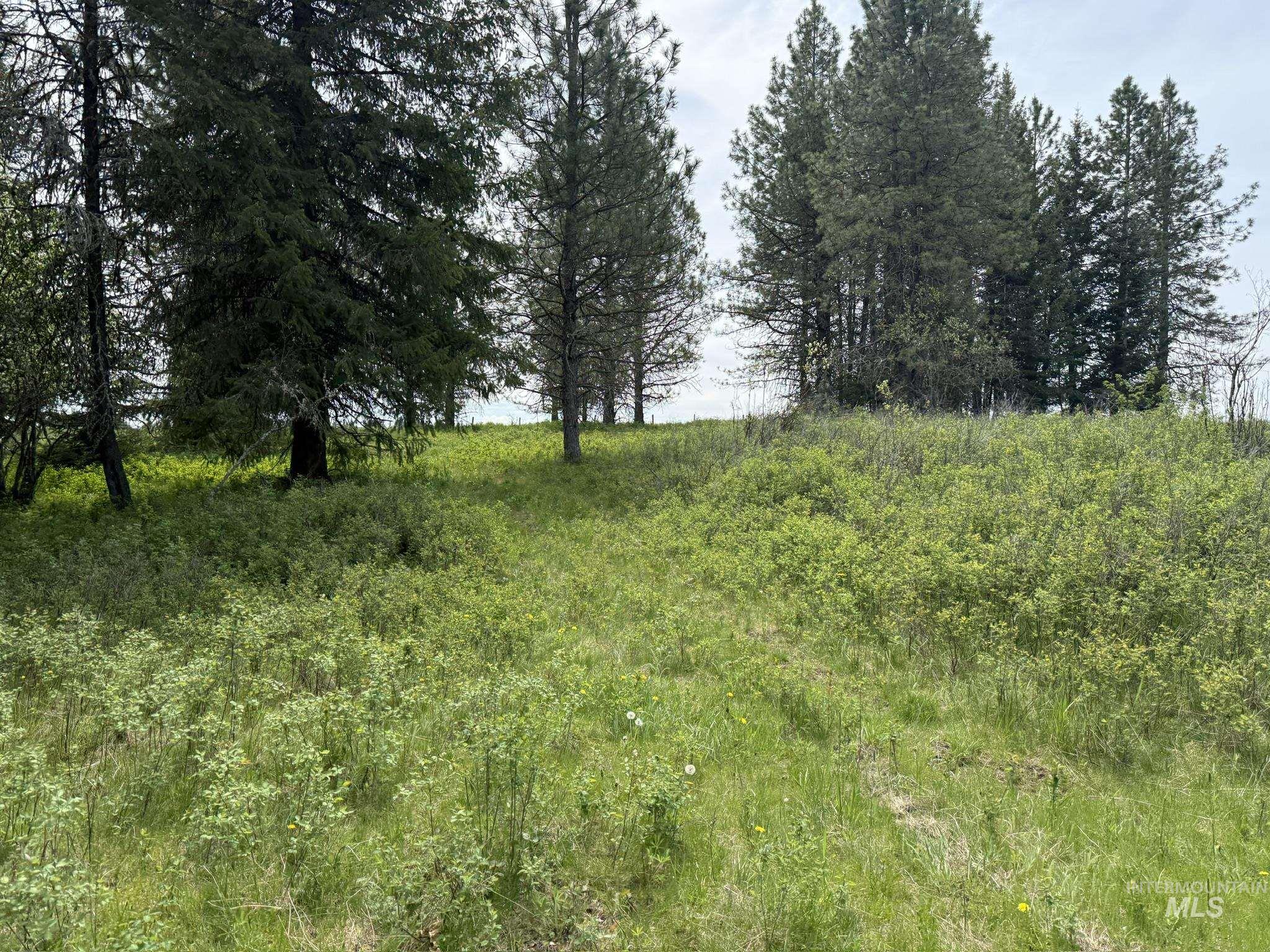 Tbd 4 Mile Road Property Photo 6
