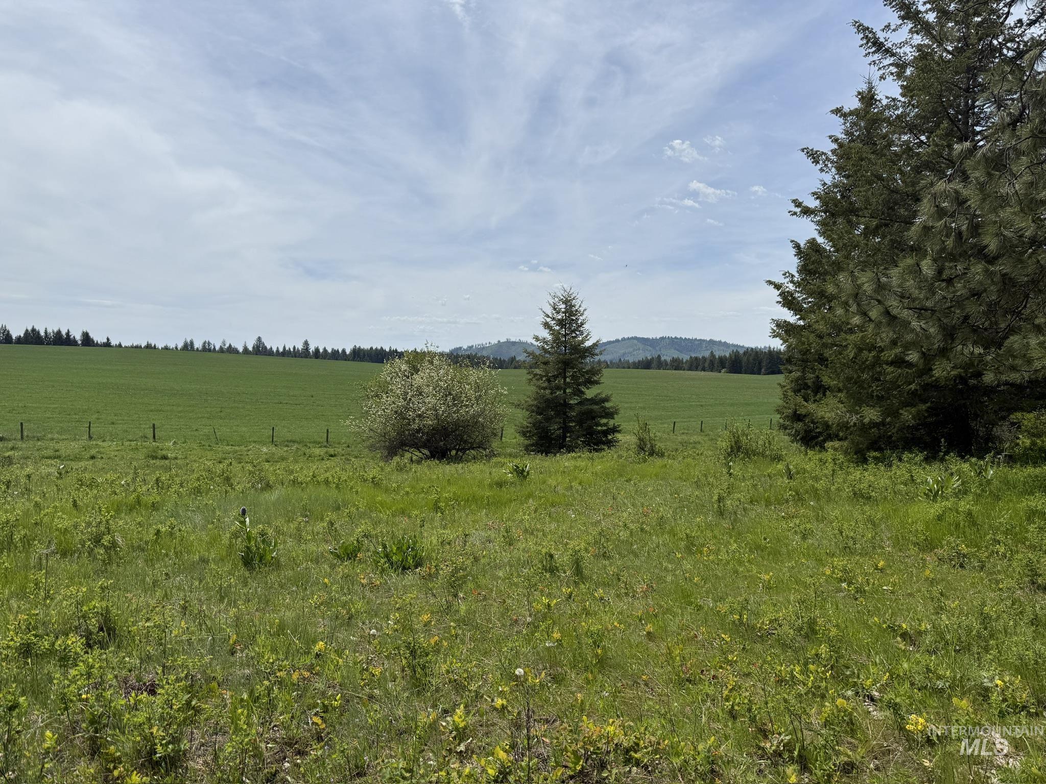 Tbd 4 Mile Road Property Photo 13