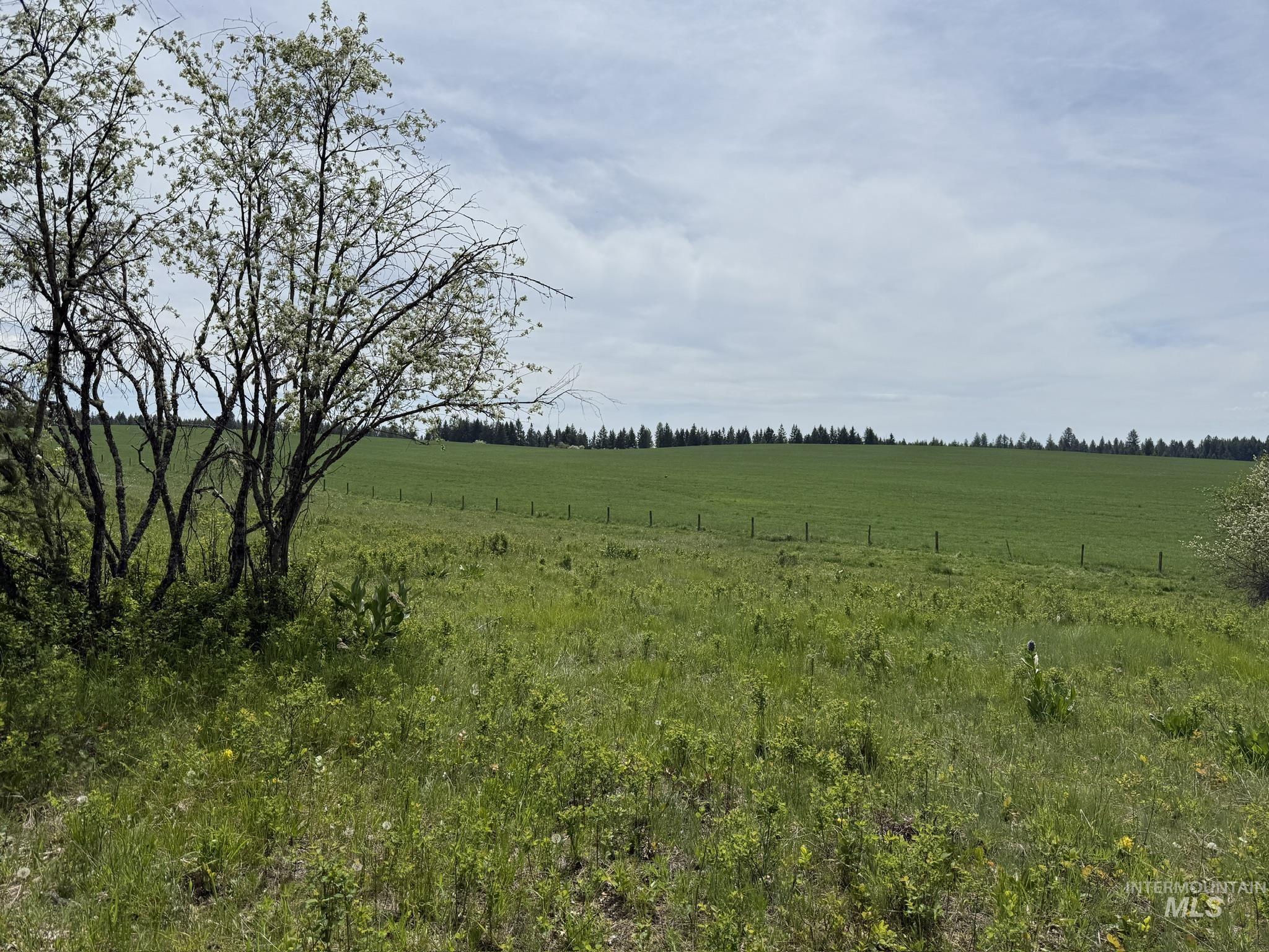 Tbd 4 Mile Road Property Photo 14