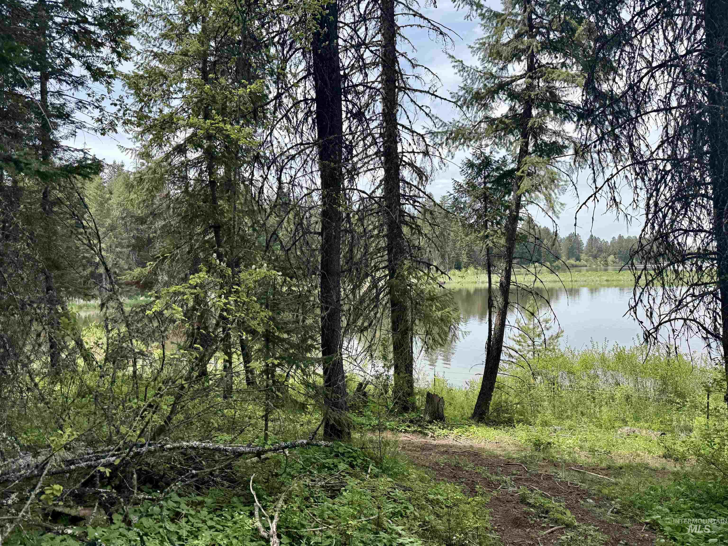 Tbd 4 Mile Road Property Photo 15