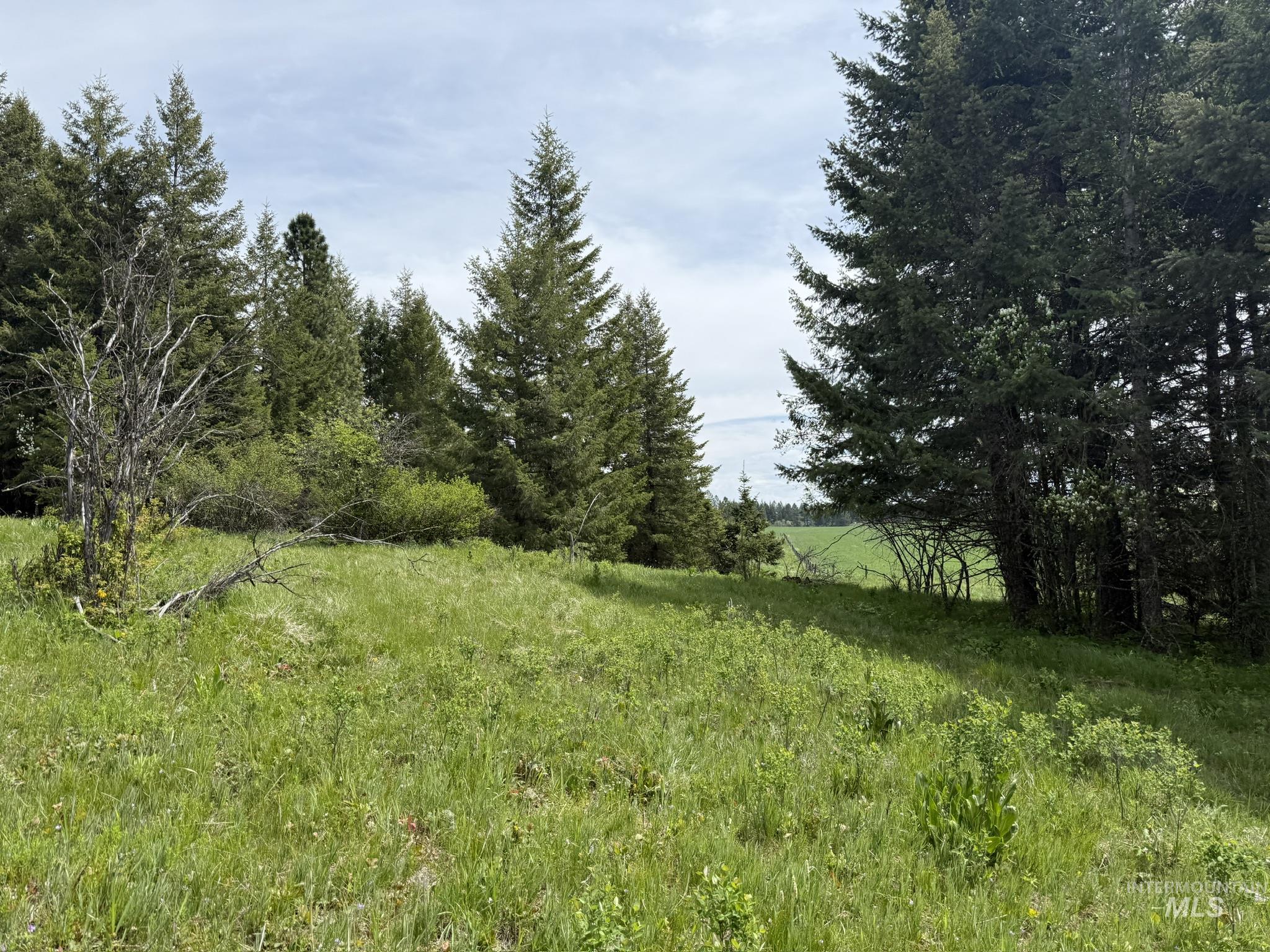 Tbd 4 Mile Road Property Photo 16