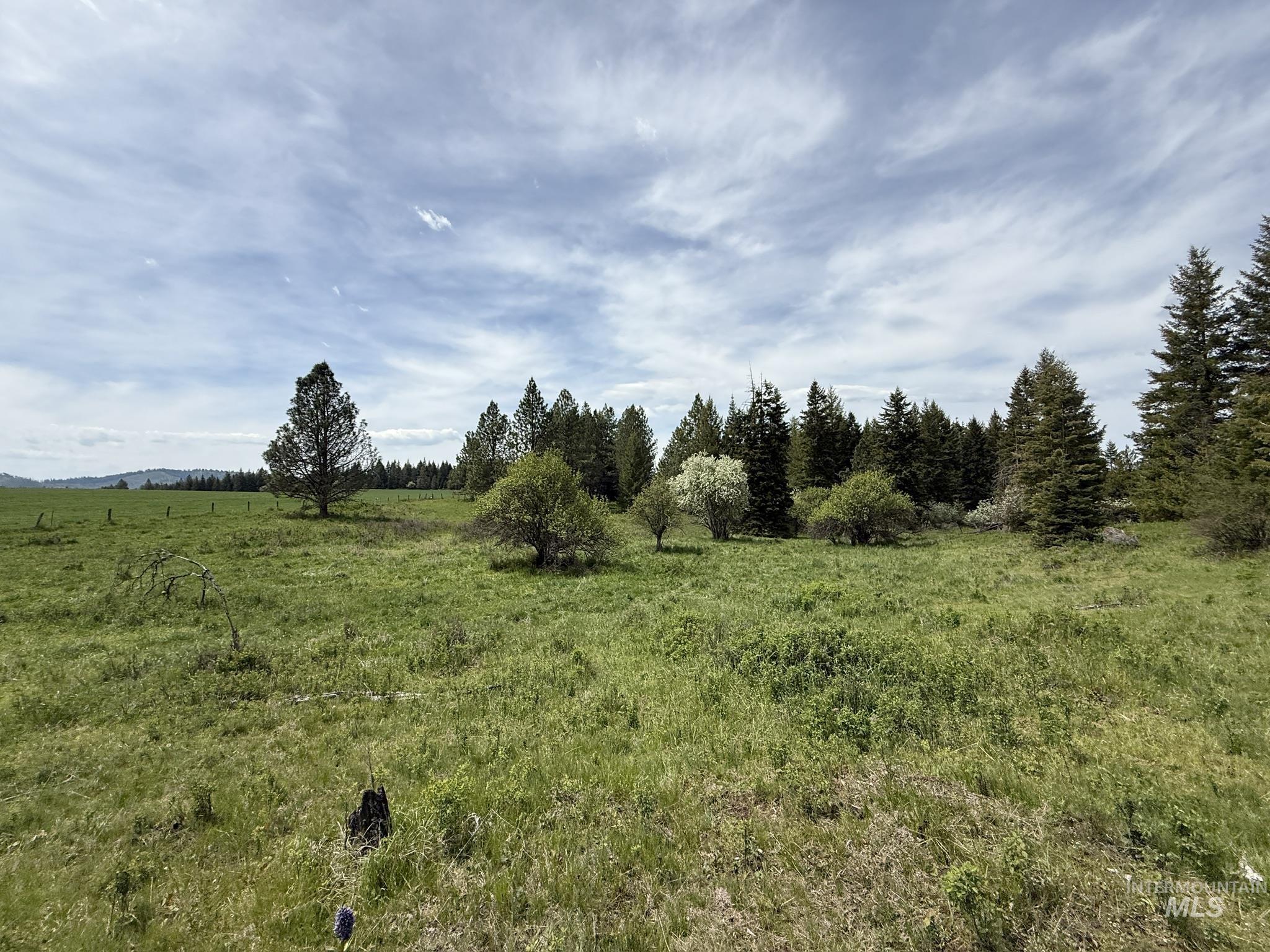 Tbd 4 Mile Road Property Photo 17